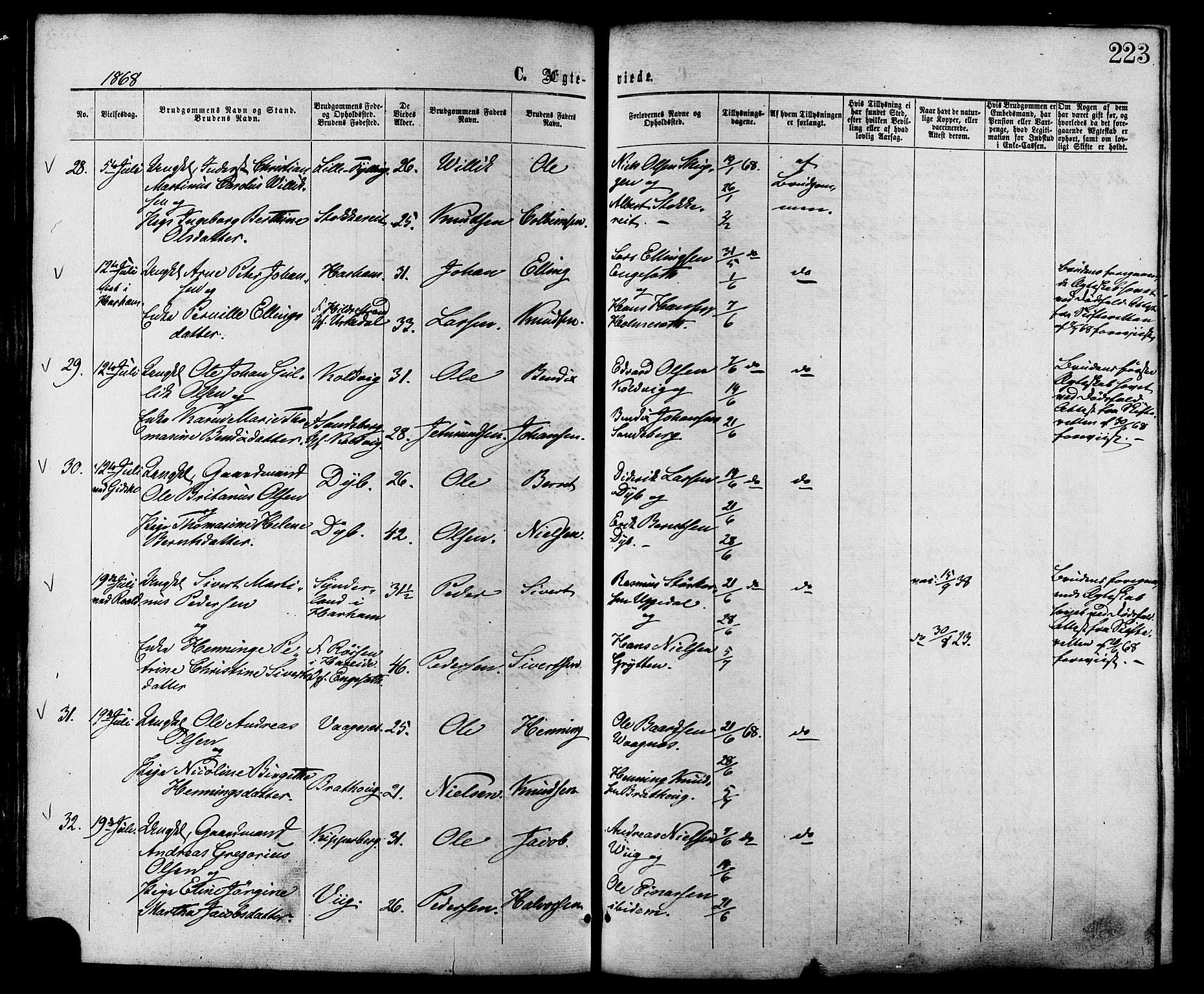 Ministerialprotokoller, klokkerbøker og fødselsregistre - Møre og Romsdal, AV/SAT-A-1454/528/L0399: Parish register (official) no. 528A10, 1864-1879, p. 223