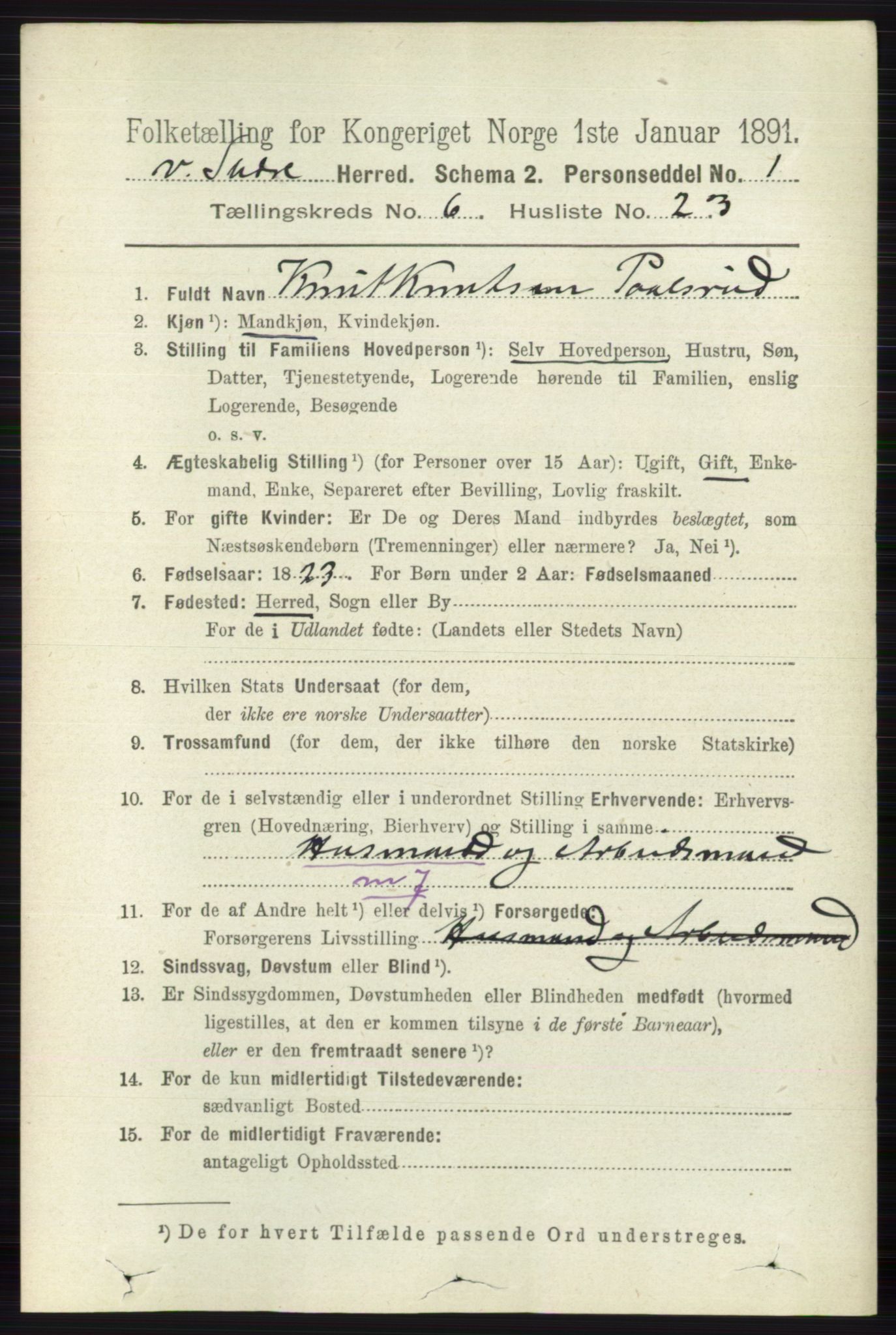 RA, 1891 census for 0543 Vestre Slidre, 1891, p. 2193