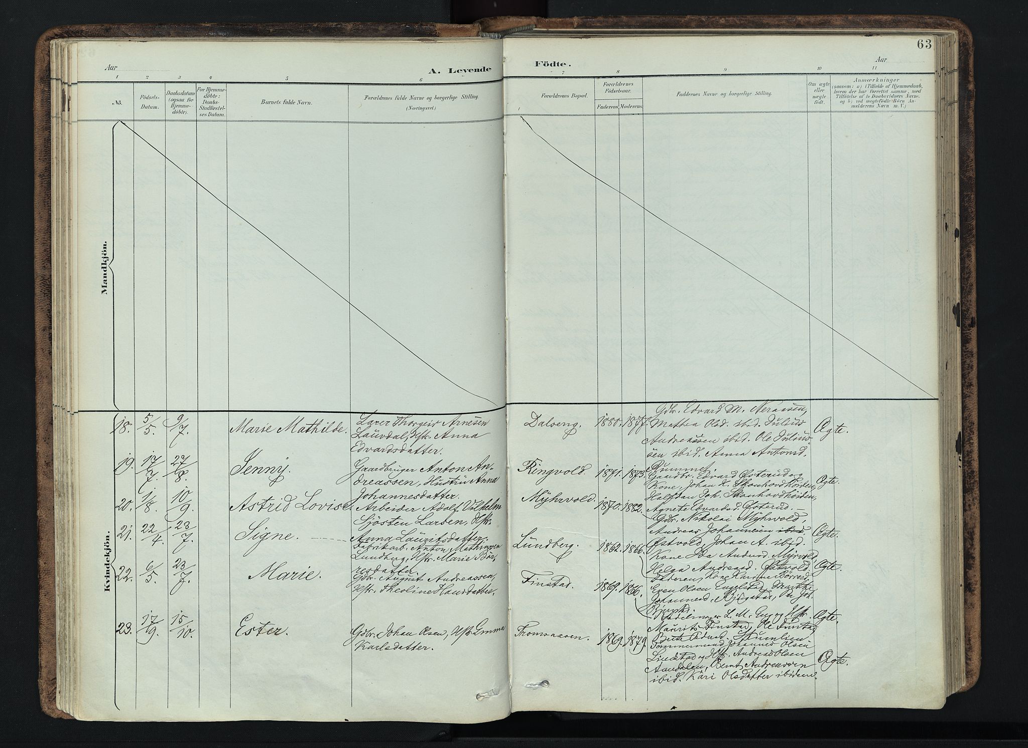 Vardal prestekontor, AV/SAH-PREST-100/H/Ha/Haa/L0019: Parish register (official) no. 19, 1893-1907, p. 63