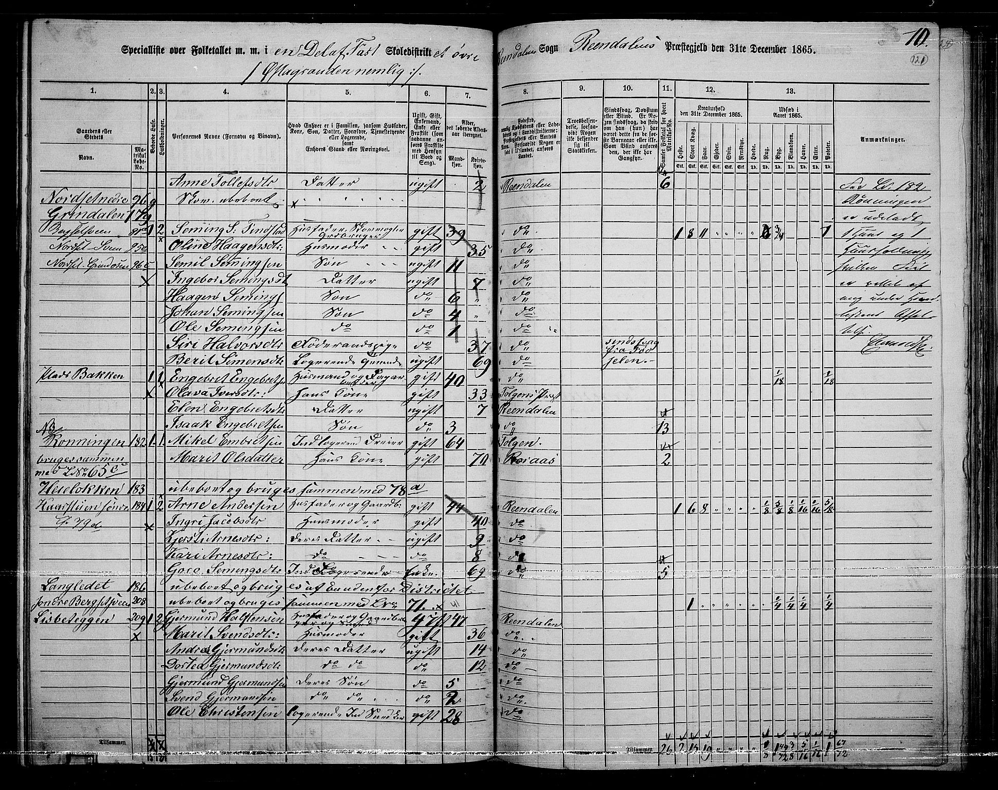 RA, 1865 census for Rendalen, 1865, p. 100