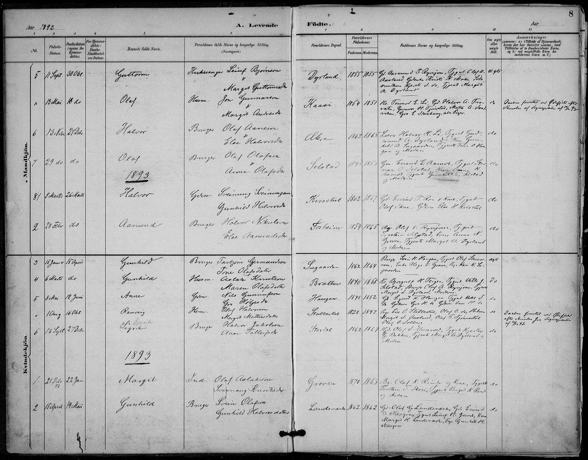 Seljord kirkebøker, SAKO/A-20/F/Fc/L0002: Parish register (official) no. III 2, 1887-1920, p. 8
