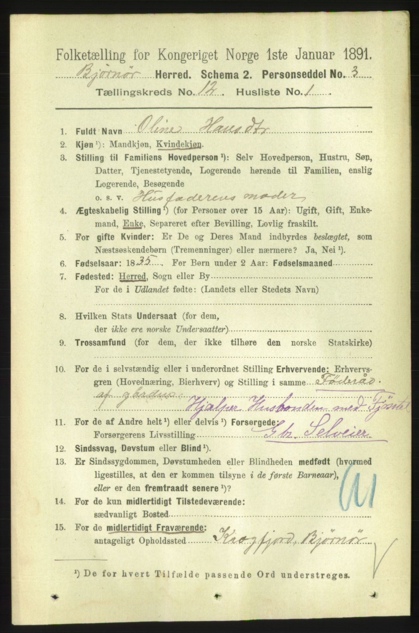 RA, 1891 census for 1632 Bjørnør, 1891, p. 5096