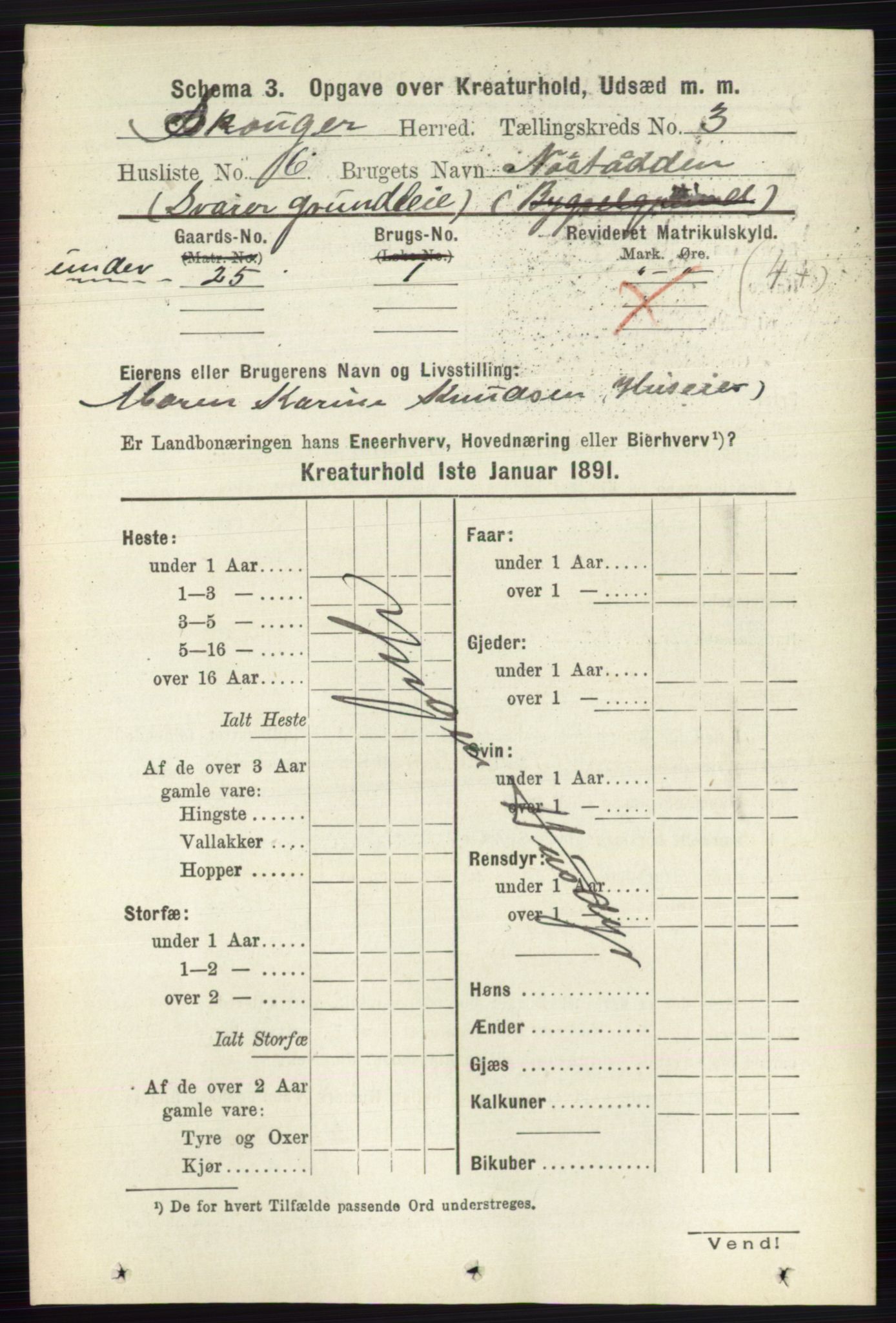 RA, 1891 census for 0712 Skoger, 1891, p. 4635