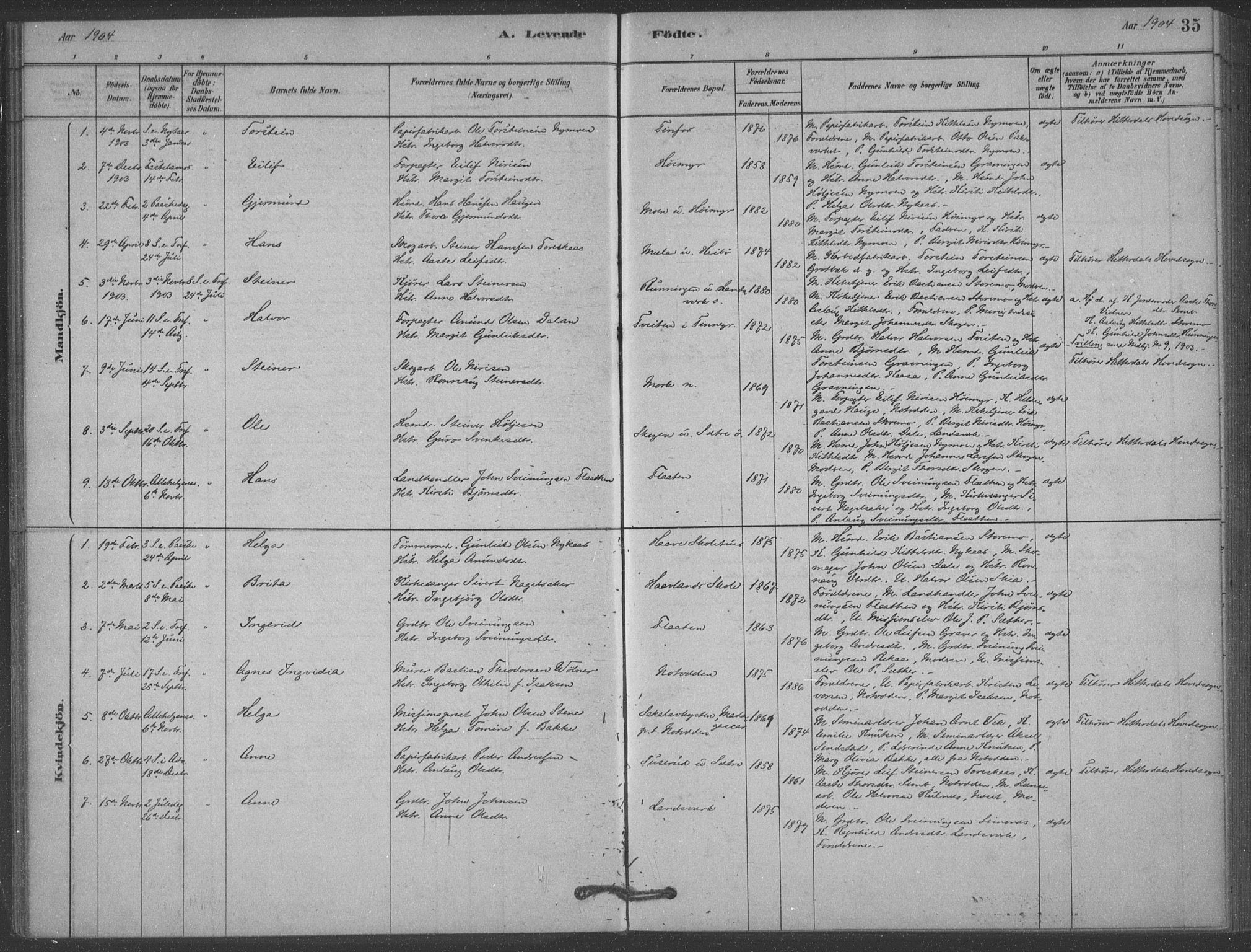 Heddal kirkebøker, AV/SAKO-A-268/F/Fb/L0002: Parish register (official) no. II 2, 1878-1913, p. 35