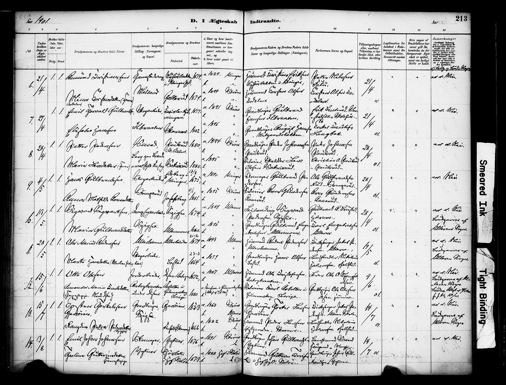 Sør-Odal prestekontor, AV/SAH-PREST-030/H/Ha/Haa/L0007: Parish register (official) no. 7, 1886-1925, p. 213