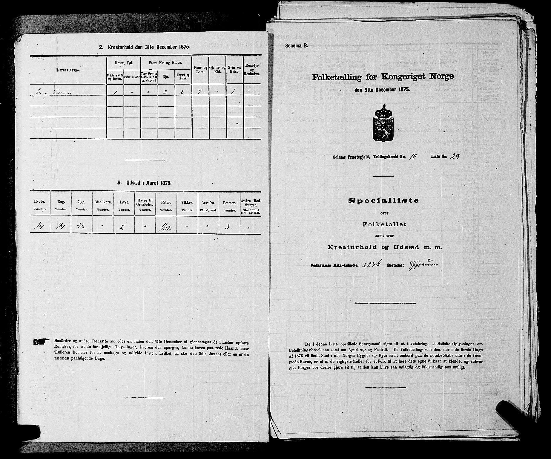 SAKO, 1875 census for 0818P Solum, 1875, p. 1523