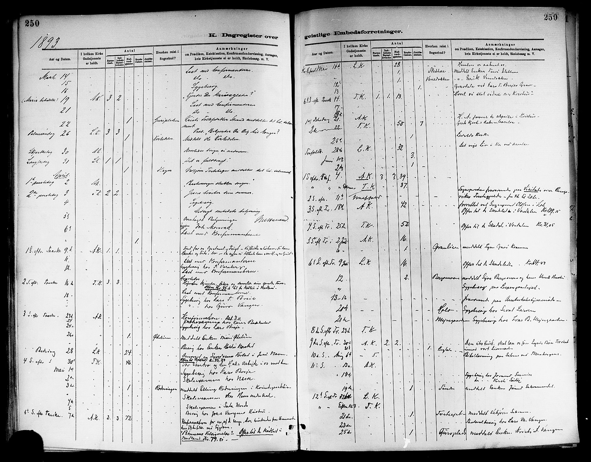 Ål kirkebøker, SAKO/A-249/F/Fa/L0008: Parish register (official) no. I 8, 1882-1896, p. 250