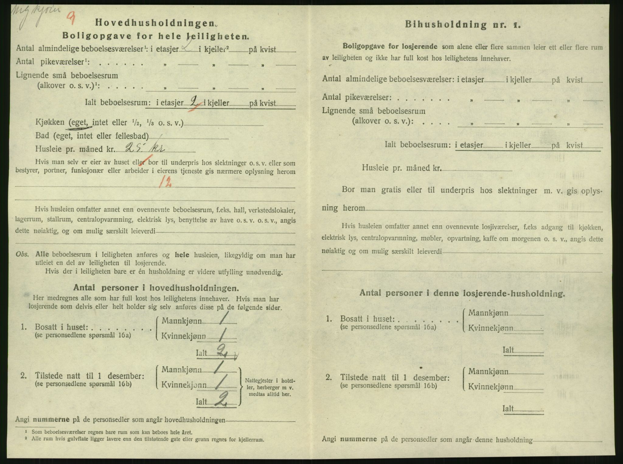 SAT, 1920 census for Steinkjer, 1920, p. 1973