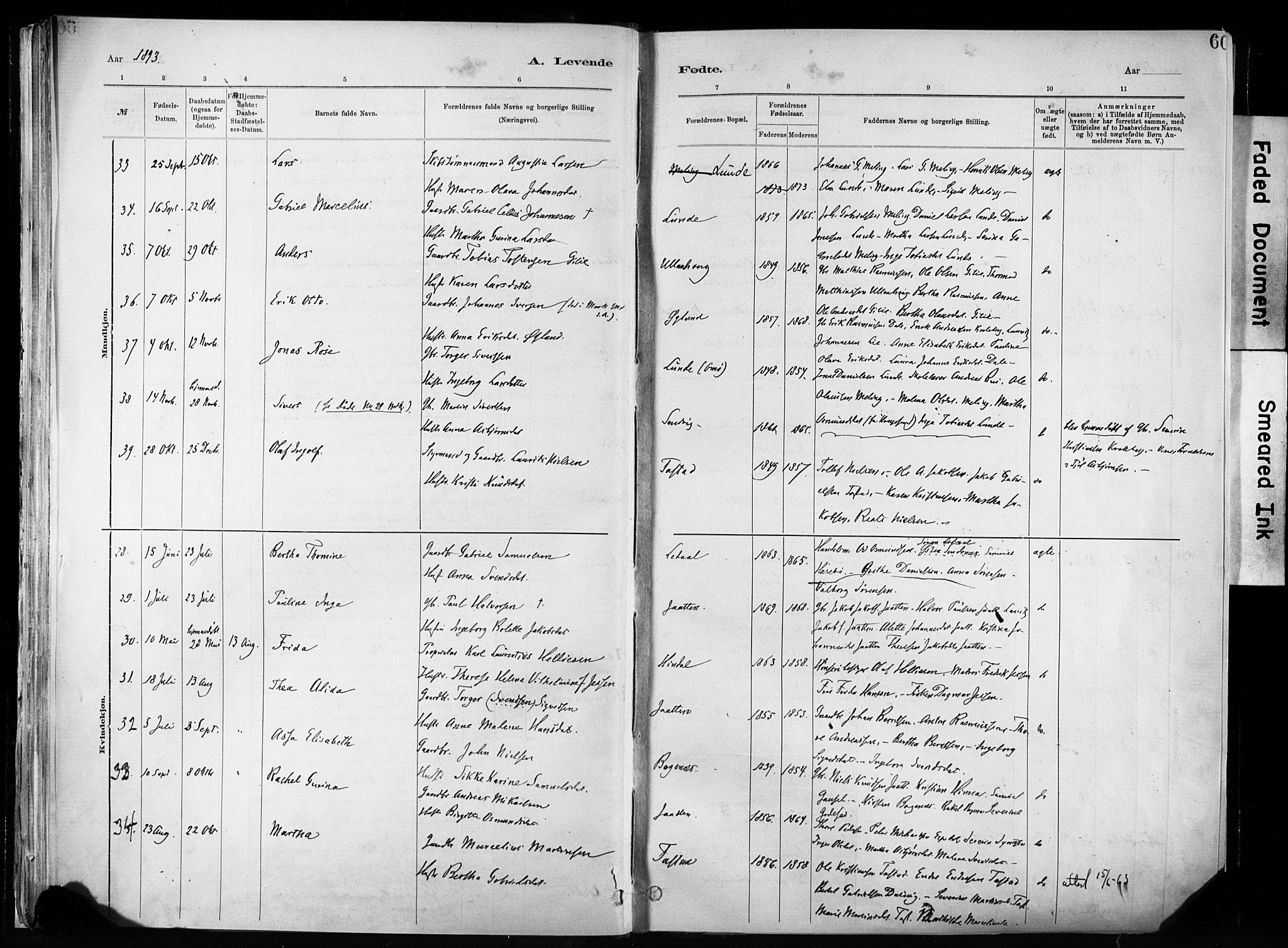 Hetland sokneprestkontor, SAST/A-101826/30/30BA/L0011: Parish register (official) no. A 11, 1884-1911, p. 60