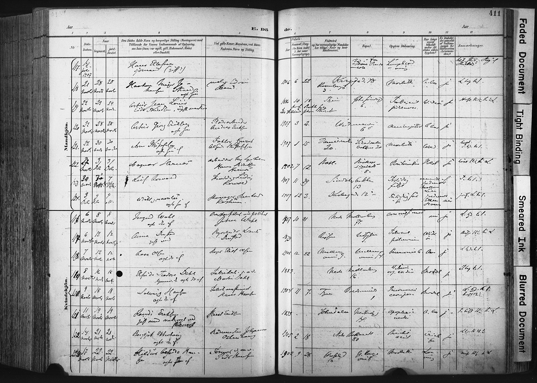 Ministerialprotokoller, klokkerbøker og fødselsregistre - Sør-Trøndelag, AV/SAT-A-1456/604/L0201: Parish register (official) no. 604A21, 1901-1911, p. 411