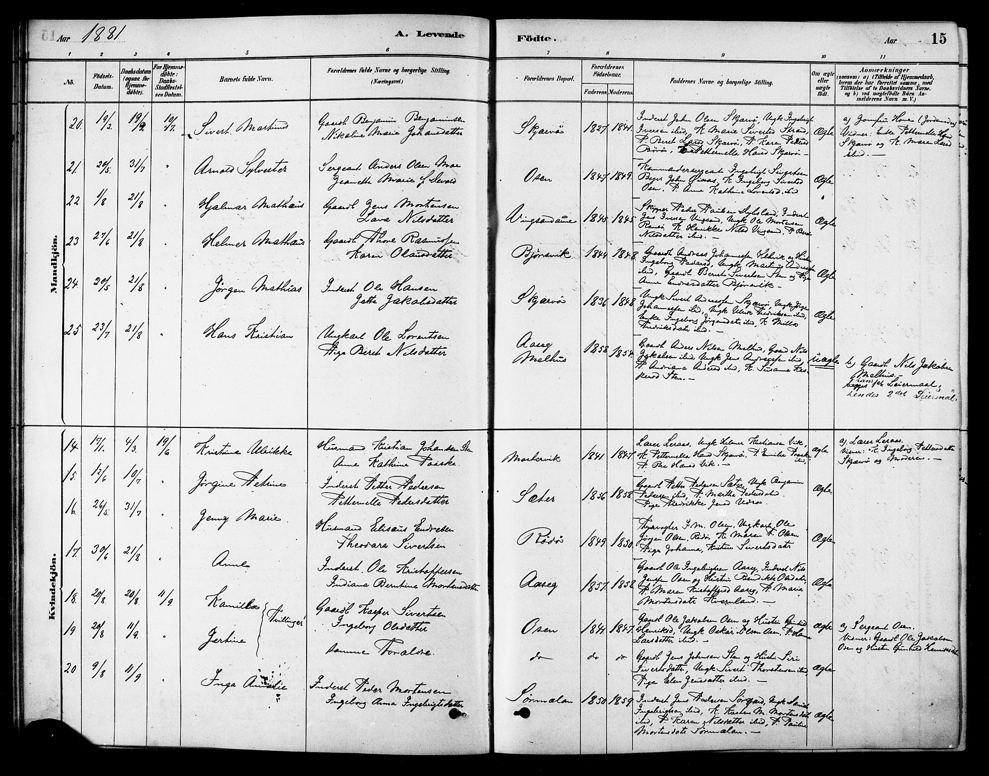 Ministerialprotokoller, klokkerbøker og fødselsregistre - Sør-Trøndelag, SAT/A-1456/658/L0722: Parish register (official) no. 658A01, 1879-1896, p. 15