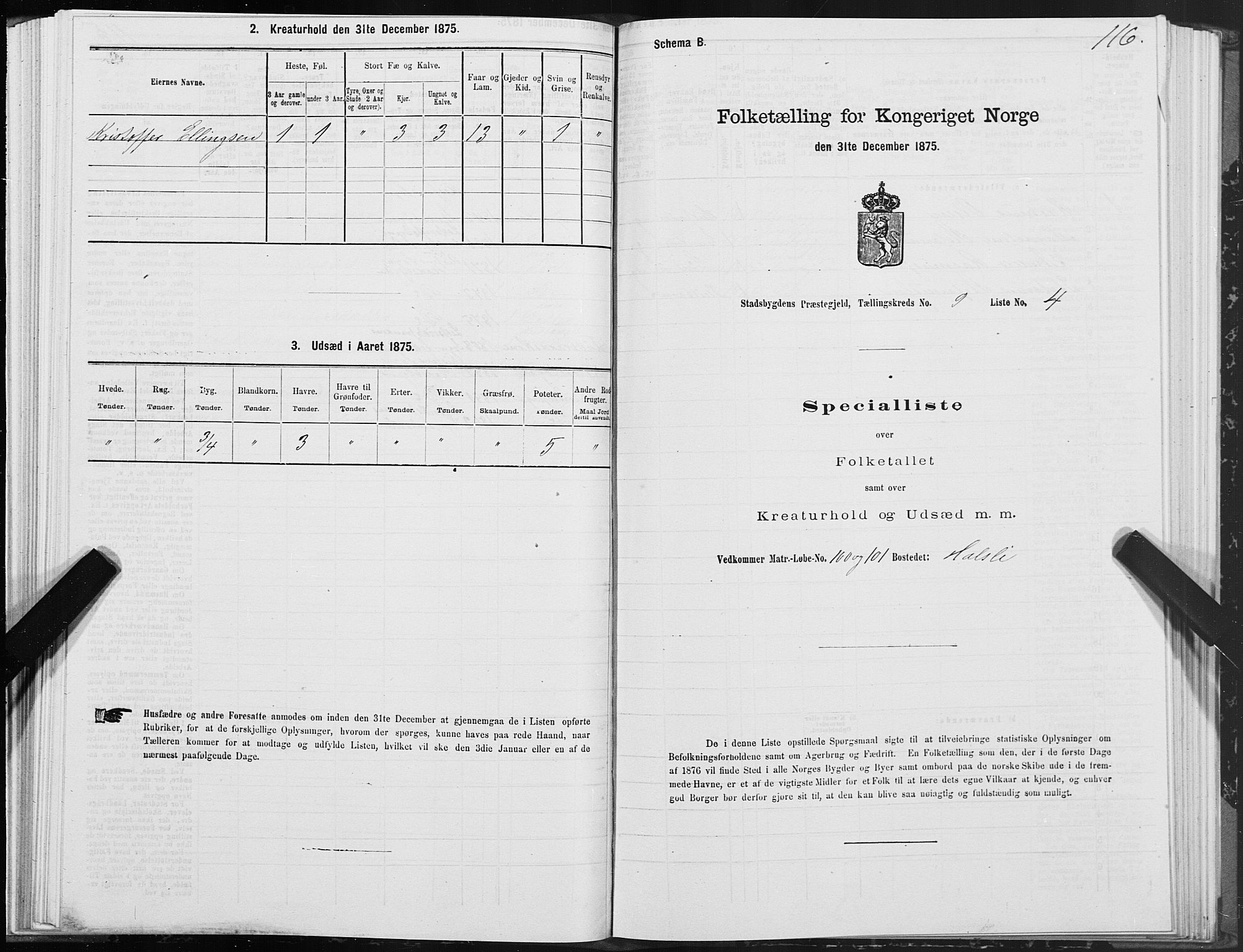 SAT, 1875 census for 1625P Stadsbygd, 1875, p. 5116