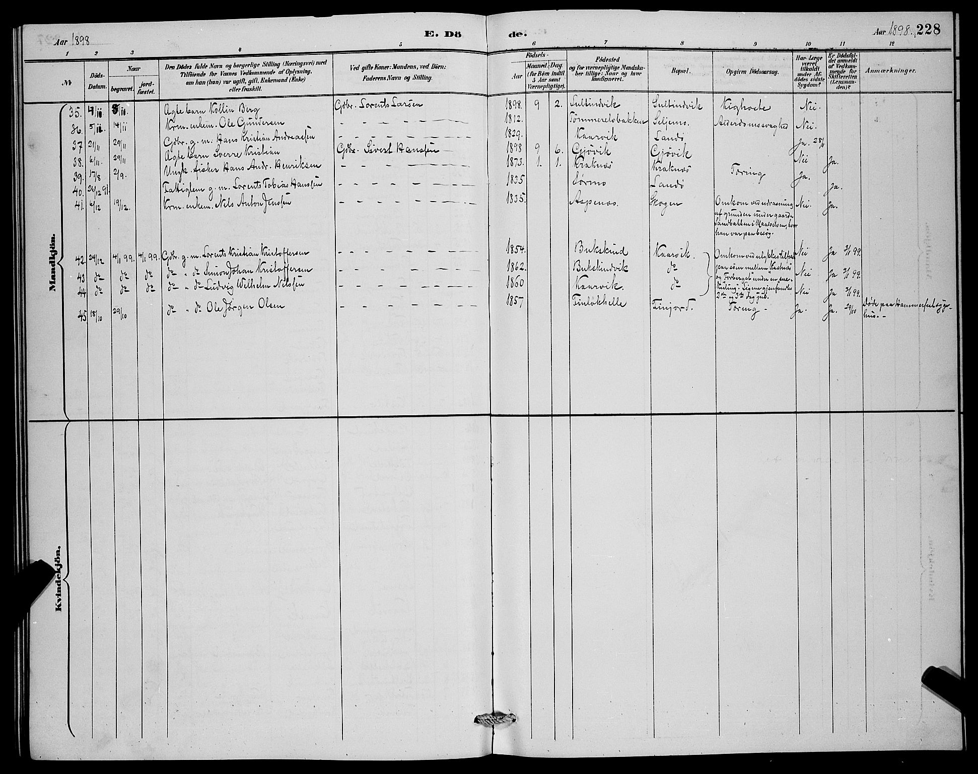 Lenvik sokneprestembete, AV/SATØ-S-1310/H/Ha/Hab/L0007klokker: Parish register (copy) no. 7, 1890-1898, p. 228