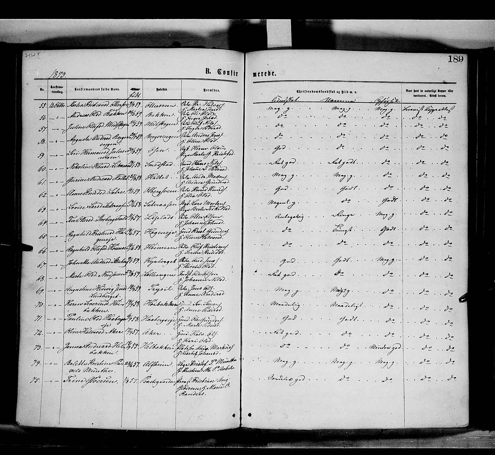 Elverum prestekontor, AV/SAH-PREST-044/H/Ha/Haa/L0011: Parish register (official) no. 11, 1869-1879, p. 189