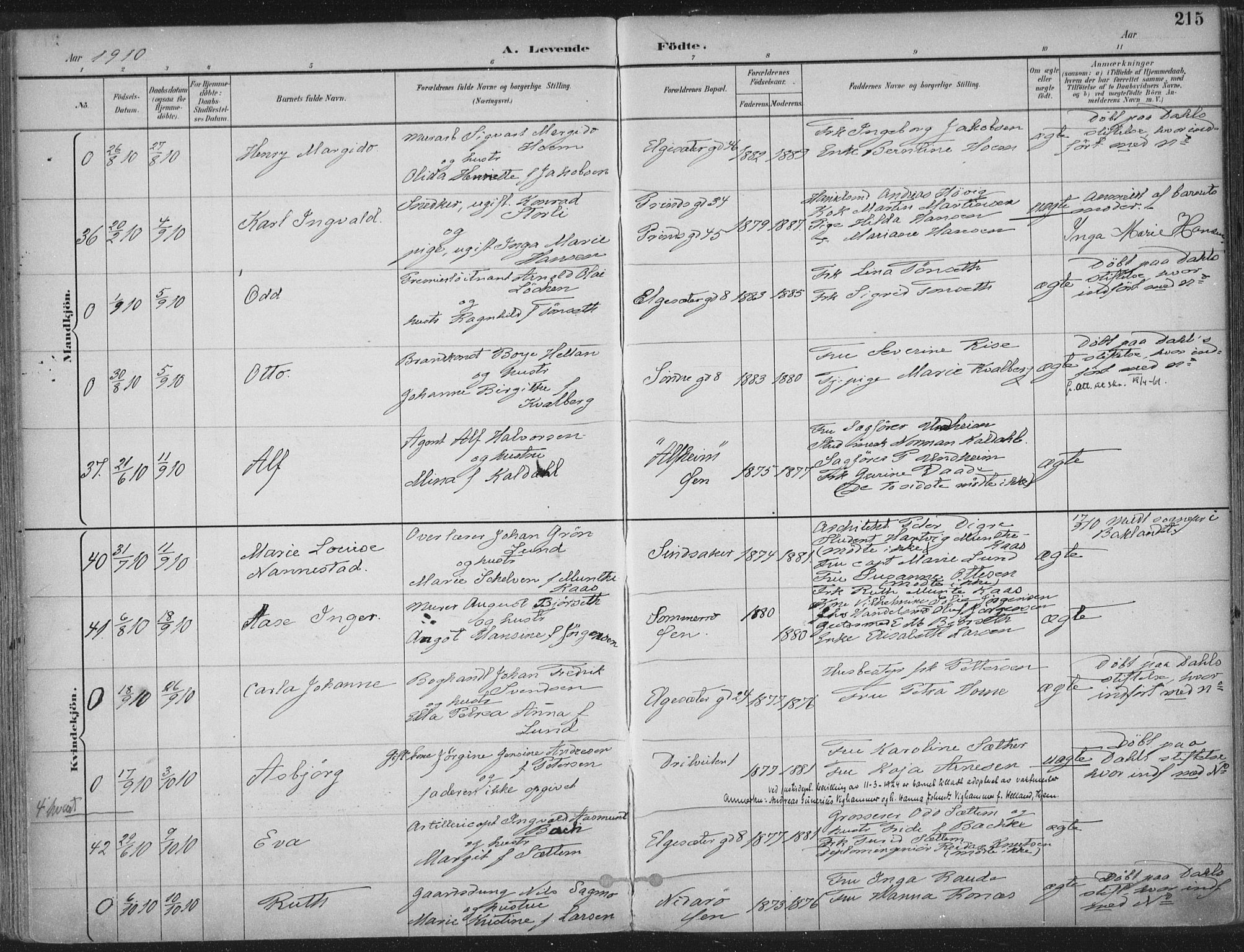 Ministerialprotokoller, klokkerbøker og fødselsregistre - Sør-Trøndelag, SAT/A-1456/601/L0062: Parish register (official) no. 601A30, 1891-1911, p. 215