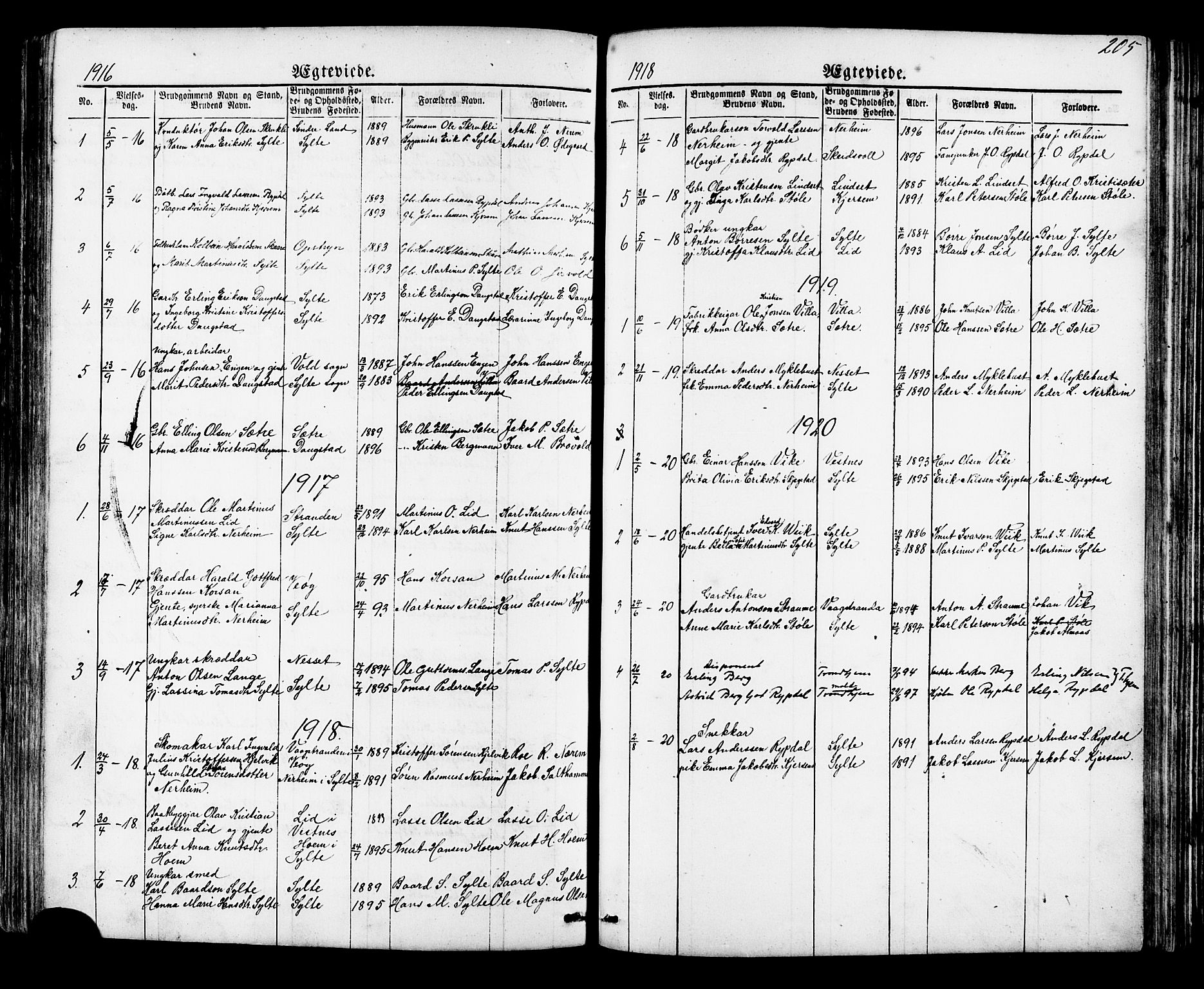 Ministerialprotokoller, klokkerbøker og fødselsregistre - Møre og Romsdal, SAT/A-1454/541/L0547: Parish register (copy) no. 541C02, 1867-1921, p. 205