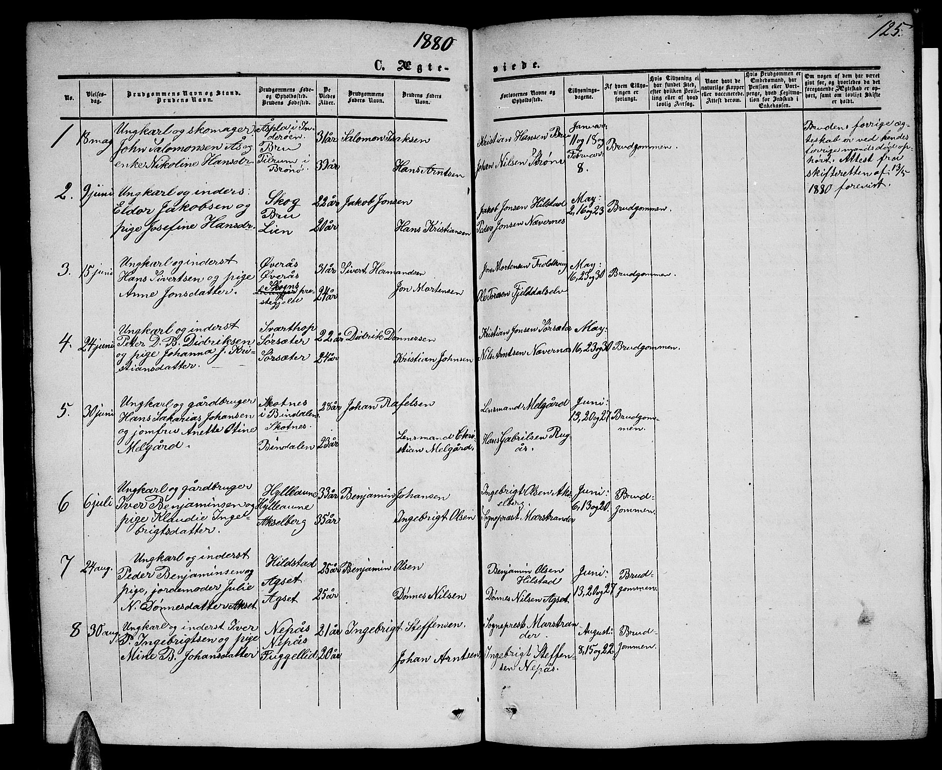 Ministerialprotokoller, klokkerbøker og fødselsregistre - Nordland, SAT/A-1459/814/L0229: Parish register (copy) no. 814C02, 1859-1883, p. 125