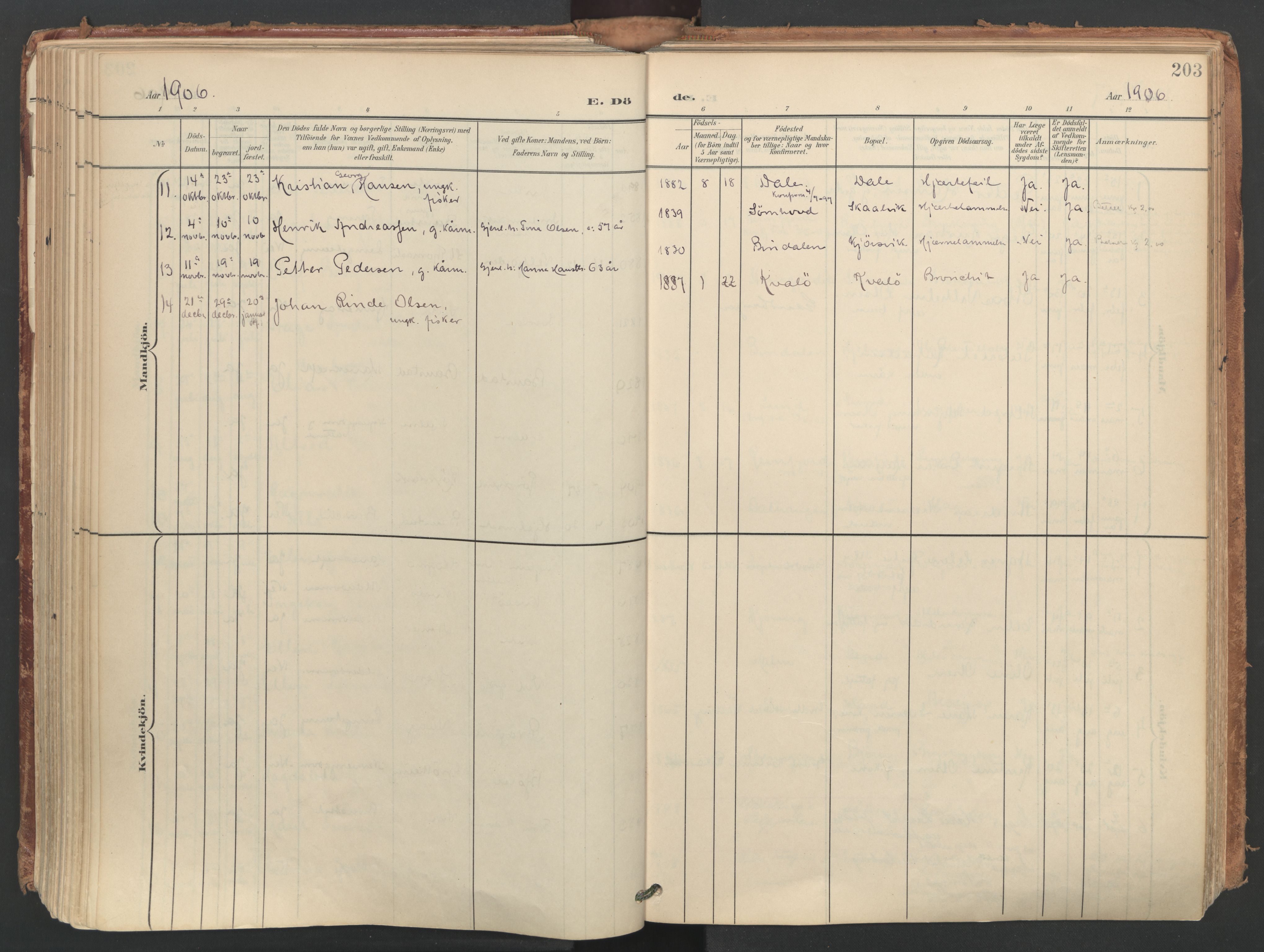 Ministerialprotokoller, klokkerbøker og fødselsregistre - Nordland, AV/SAT-A-1459/812/L0180: Parish register (official) no. 812A09, 1901-1915, p. 203