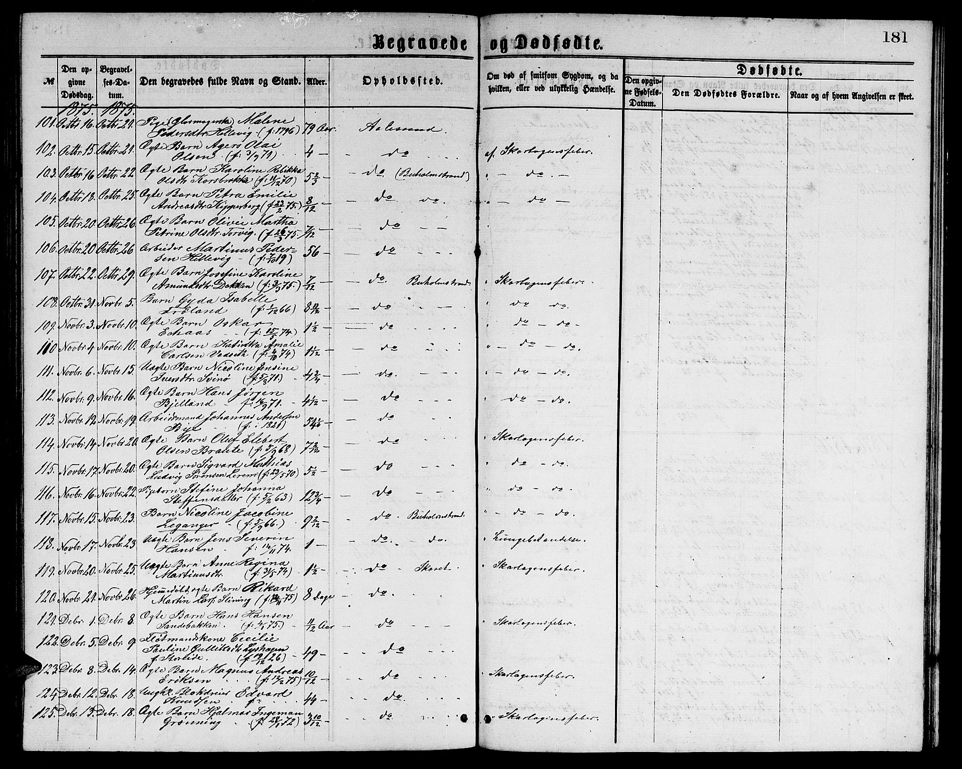 Ministerialprotokoller, klokkerbøker og fødselsregistre - Møre og Romsdal, AV/SAT-A-1454/529/L0465: Parish register (copy) no. 529C02, 1868-1877, p. 181