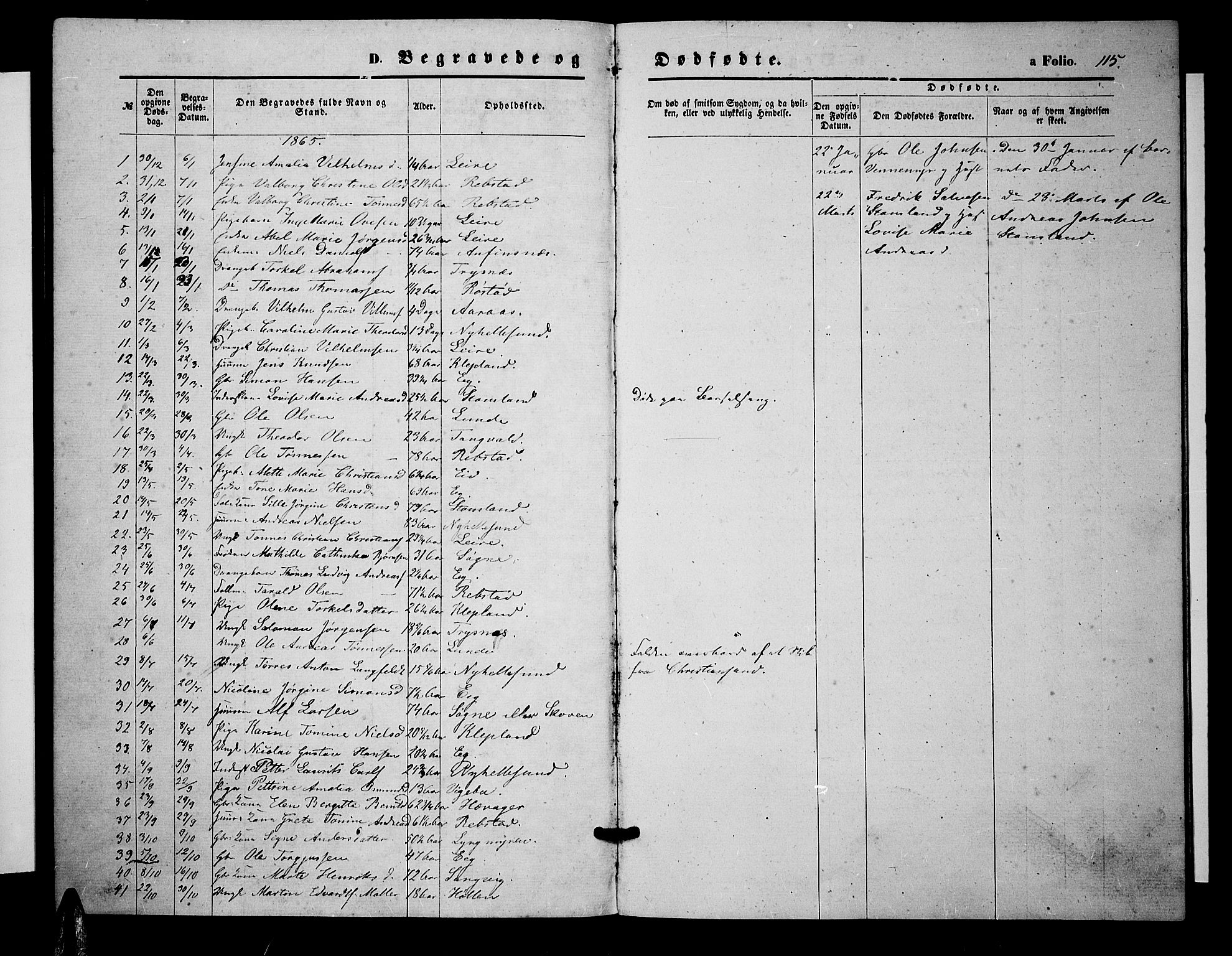 Søgne sokneprestkontor, SAK/1111-0037/F/Fb/Fbb/L0004: Parish register (copy) no. B 4, 1864-1883, p. 115