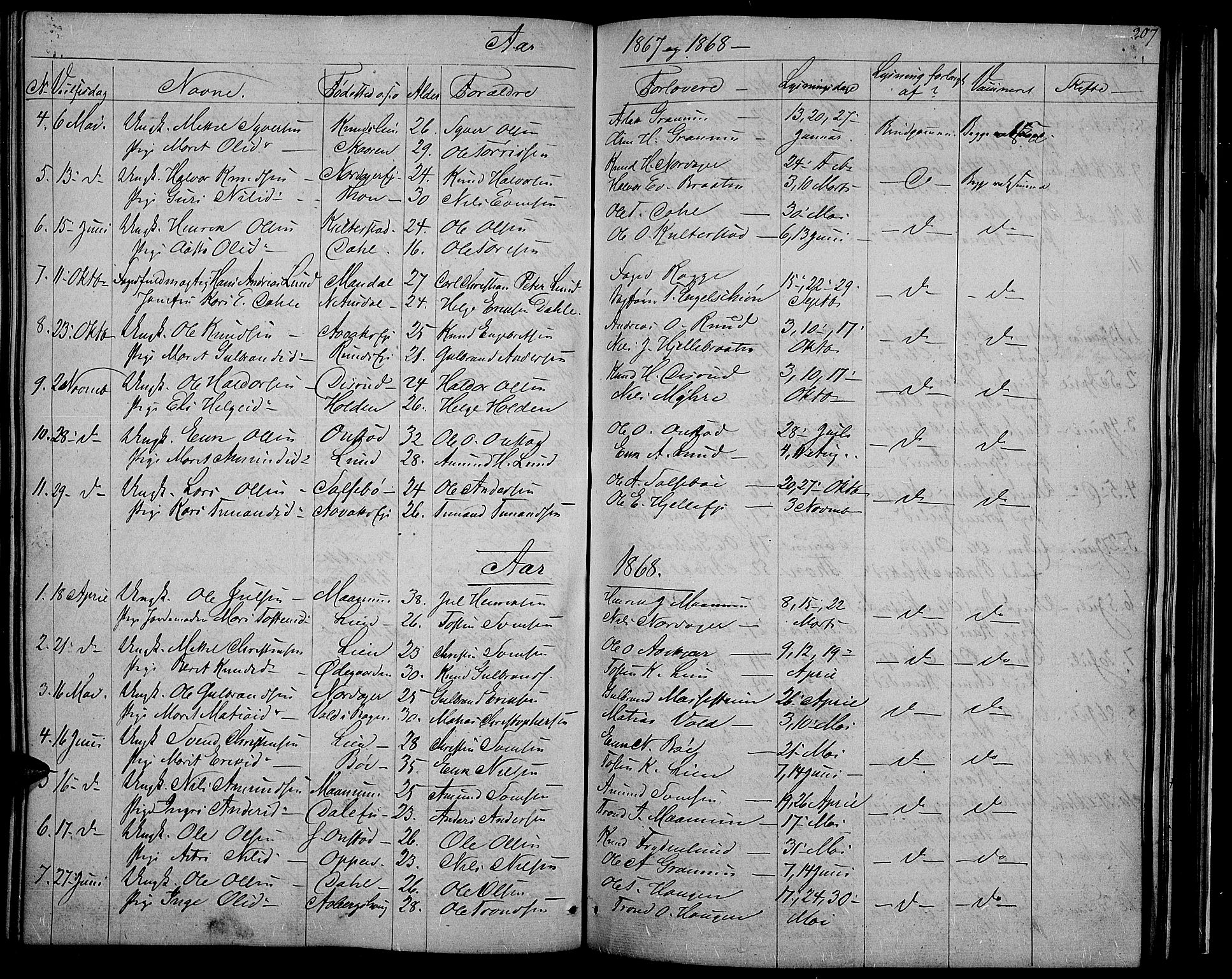 Nord-Aurdal prestekontor, SAH/PREST-132/H/Ha/Hab/L0002: Parish register (copy) no. 2, 1842-1877, p. 207