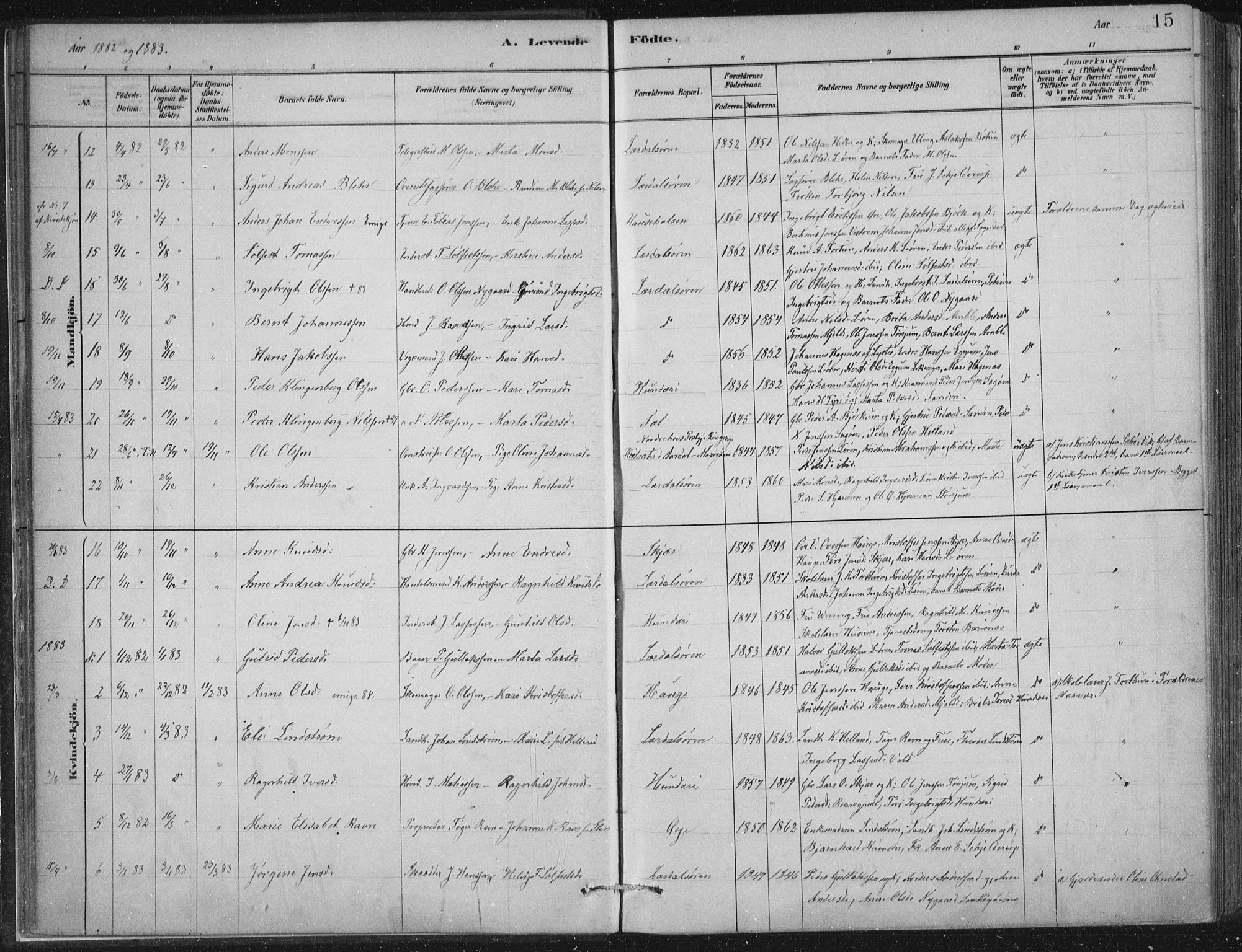 Lærdal sokneprestembete, SAB/A-81201: Parish register (official) no. D  1, 1878-1908, p. 15