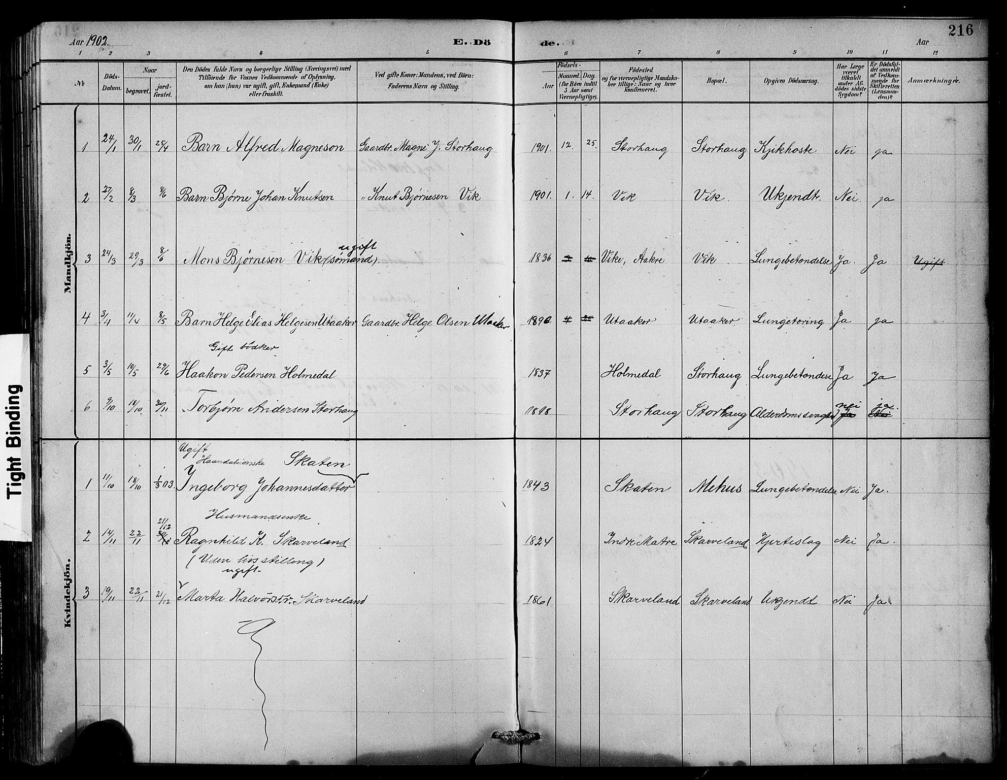 Husnes Sokneprestembete, AV/SAB-A-75901/H/Hab: Parish register (copy) no. B 2, 1884-1914, p. 216