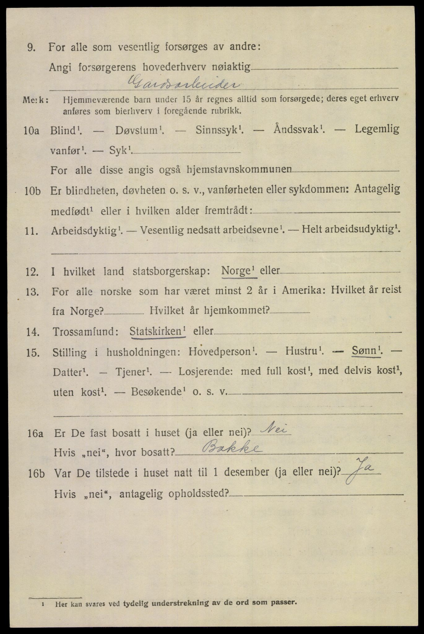 SAKO, 1920 census for Tinn, 1920, p. 3811