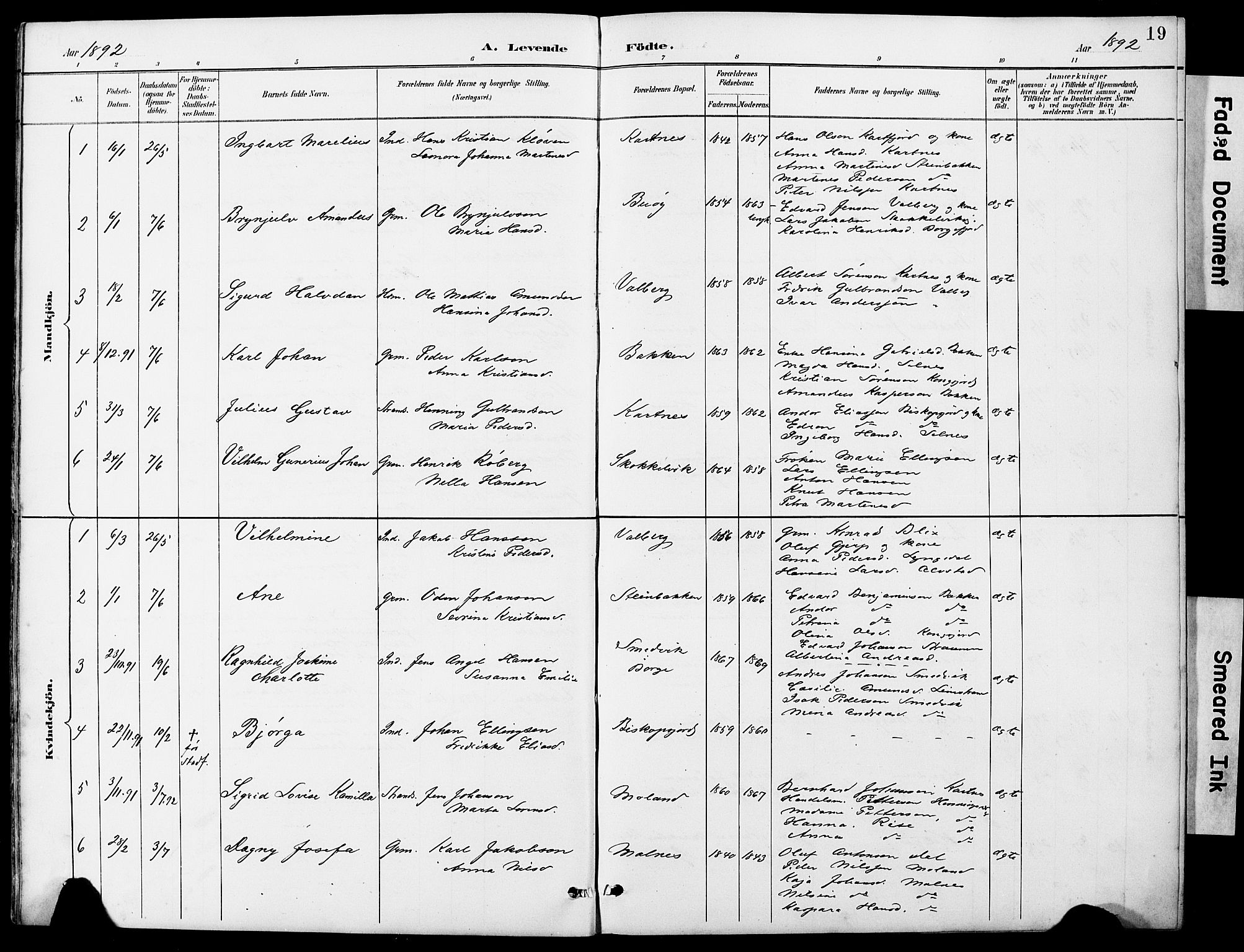 Ministerialprotokoller, klokkerbøker og fødselsregistre - Nordland, AV/SAT-A-1459/884/L1197: Parish register (copy) no. 884C03, 1888-1926, p. 19