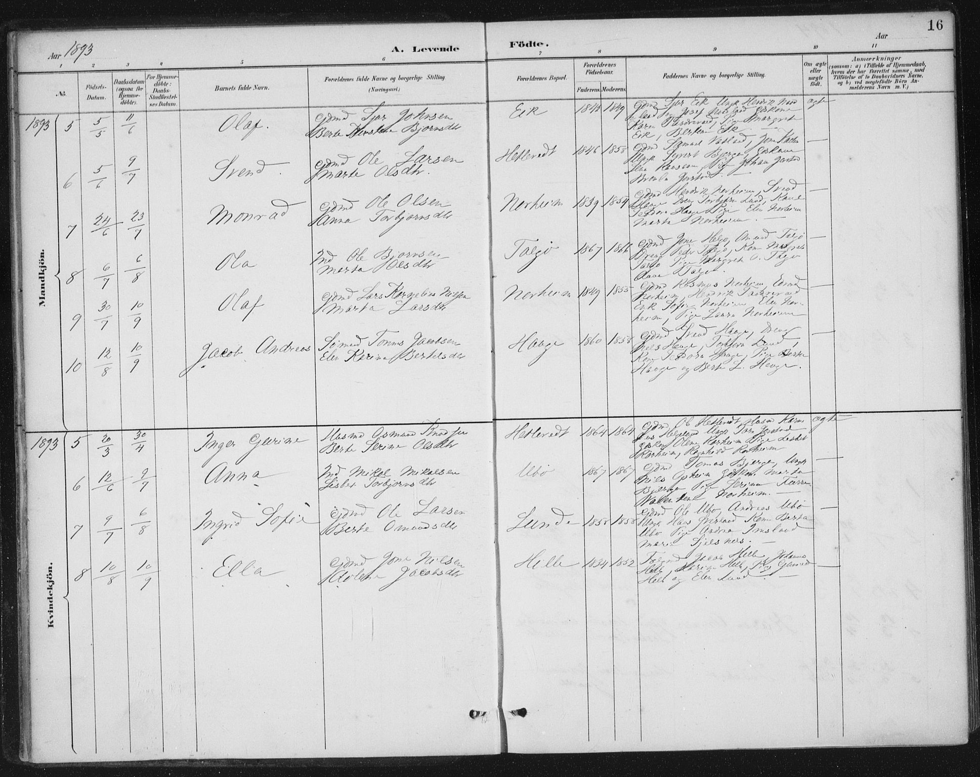 Nedstrand sokneprestkontor, AV/SAST-A-101841/01/IV: Parish register (official) no. A 13, 1887-1915, p. 16