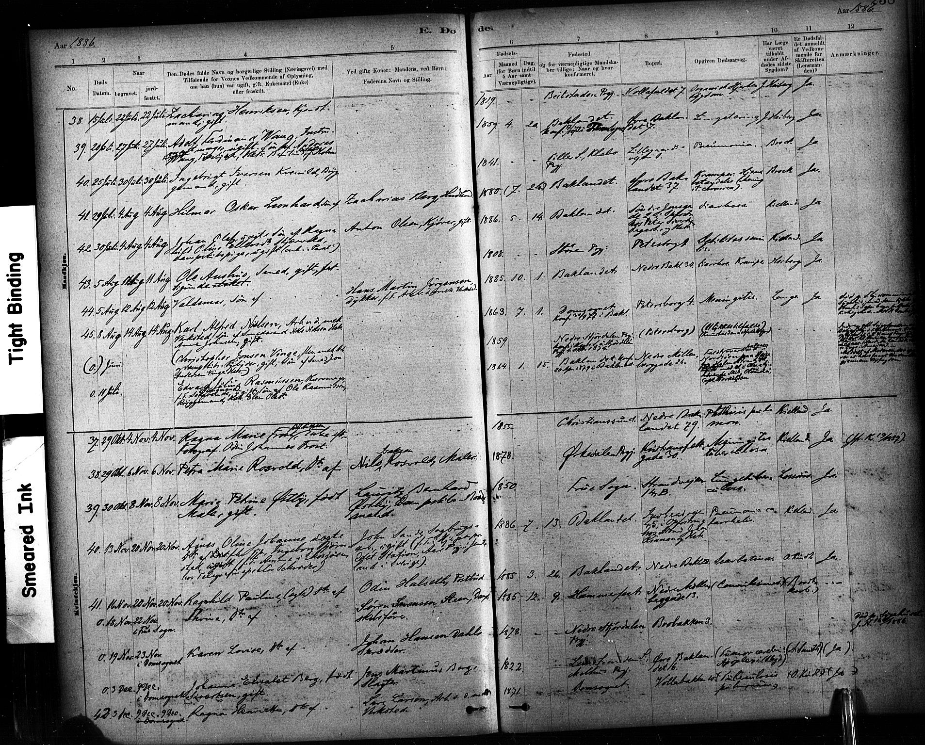 Ministerialprotokoller, klokkerbøker og fødselsregistre - Sør-Trøndelag, AV/SAT-A-1456/604/L0189: Parish register (official) no. 604A10, 1878-1892, p. 238