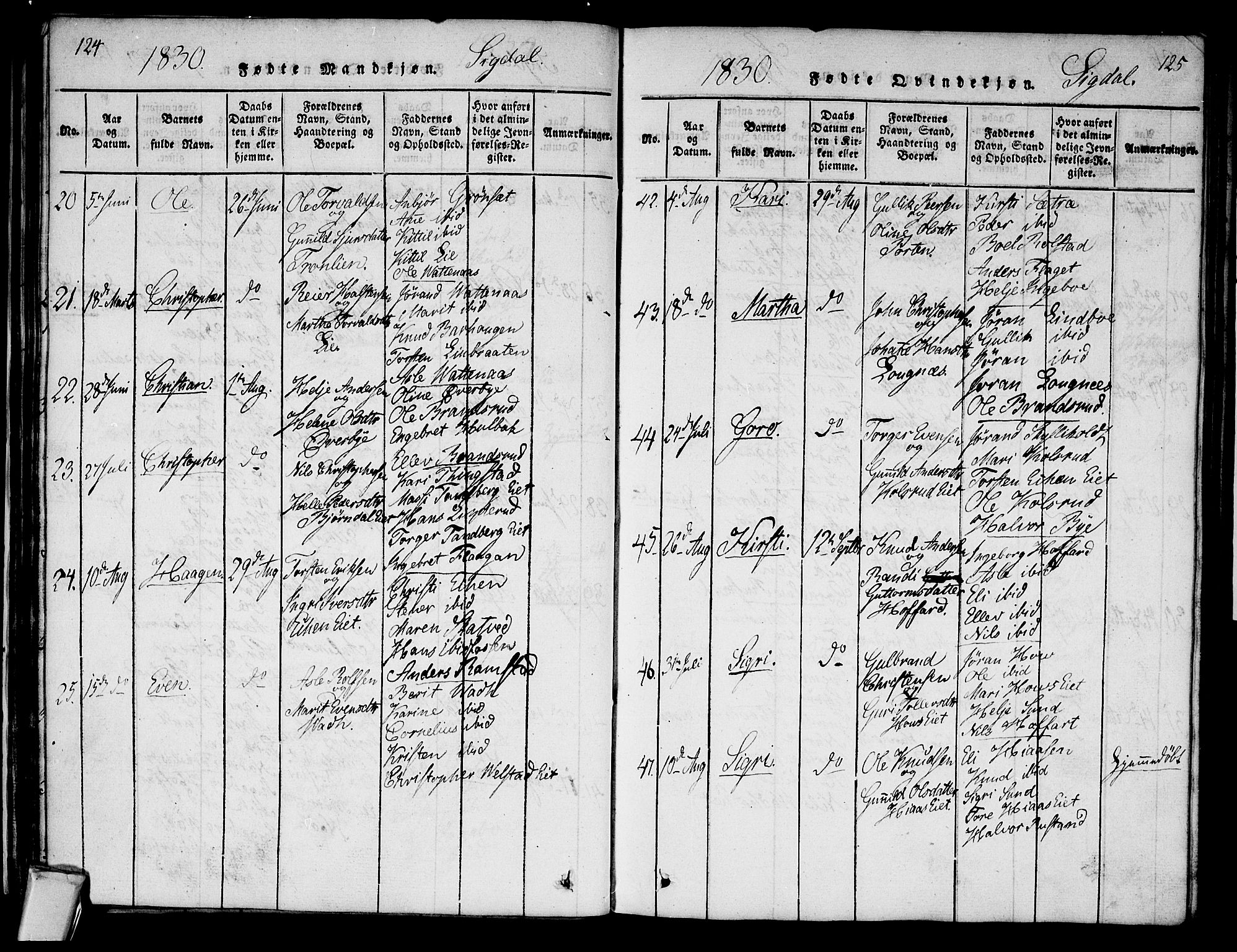 Sigdal kirkebøker, SAKO/A-245/G/Ga/L0001: Parish register (copy) no. I 1 /1, 1816-1835, p. 124-125