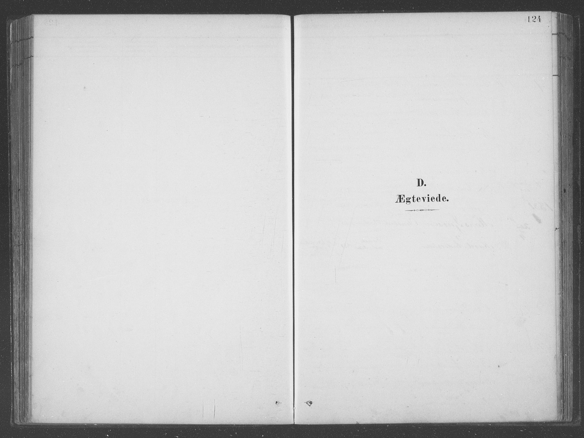 Aurland sokneprestembete, SAB/A-99937/H/Ha/Hab/L0001: Parish register (official) no. B  1, 1880-1909, p. 124