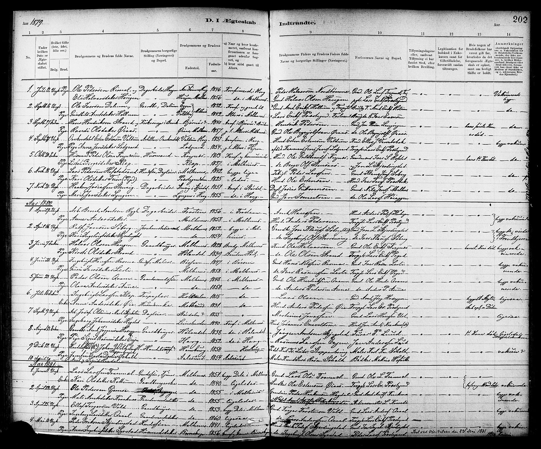 Ministerialprotokoller, klokkerbøker og fødselsregistre - Sør-Trøndelag, SAT/A-1456/691/L1094: Parish register (copy) no. 691C05, 1879-1911, p. 202