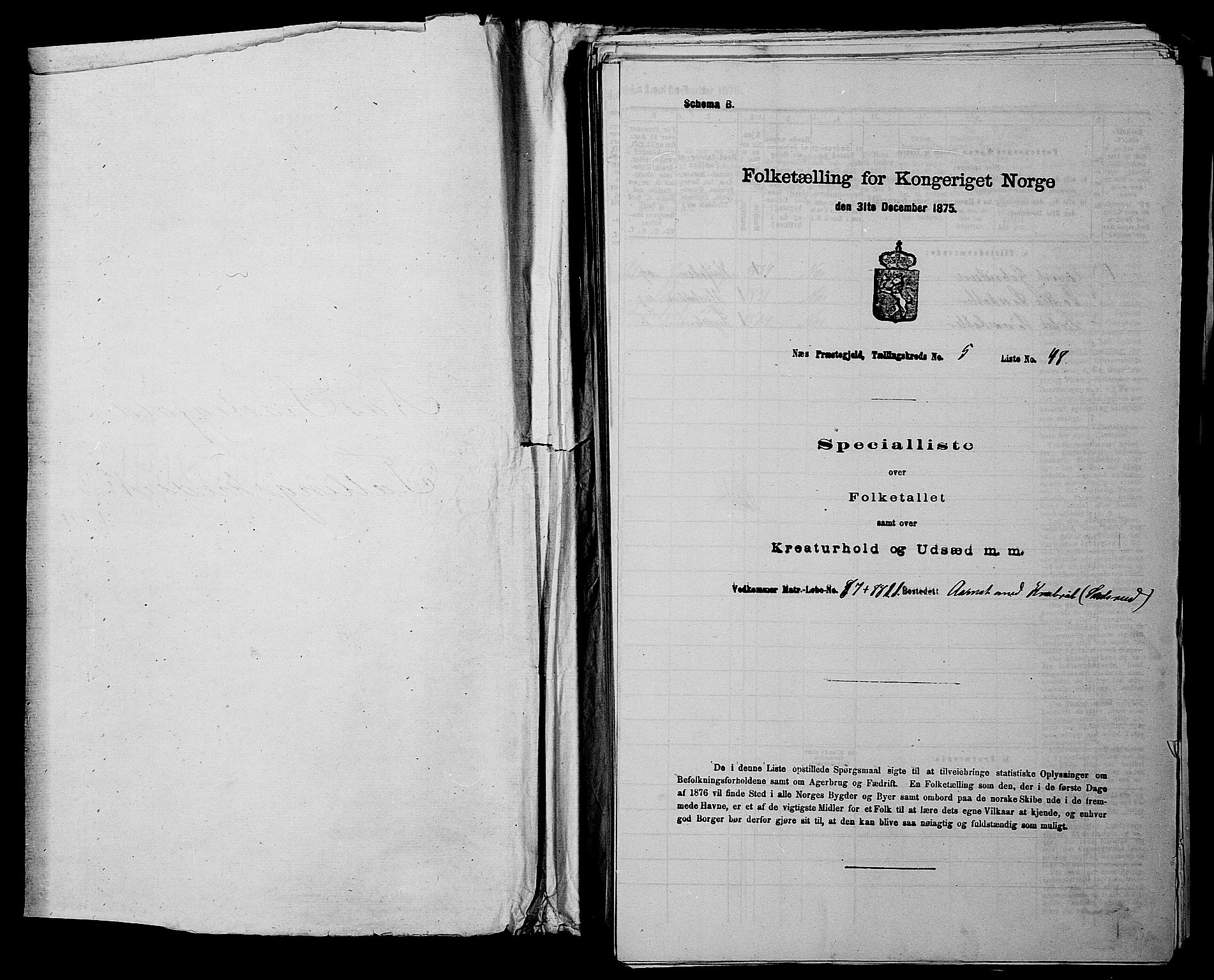 RA, 1875 census for 0236P Nes, 1875, p. 696