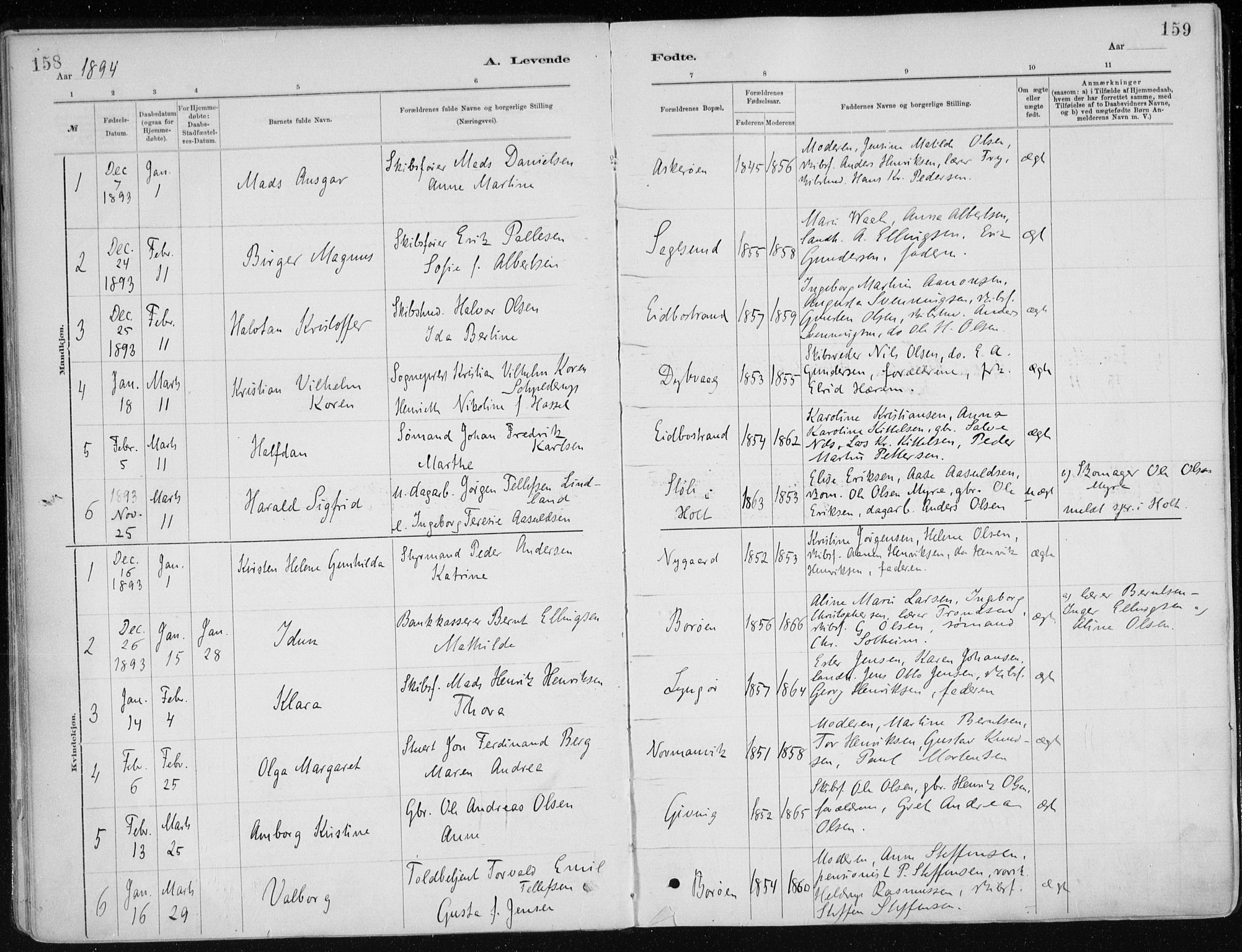 Dypvåg sokneprestkontor, SAK/1111-0007/F/Fa/Faa/L0008: Parish register (official) no. A 8, 1885-1906, p. 158-159