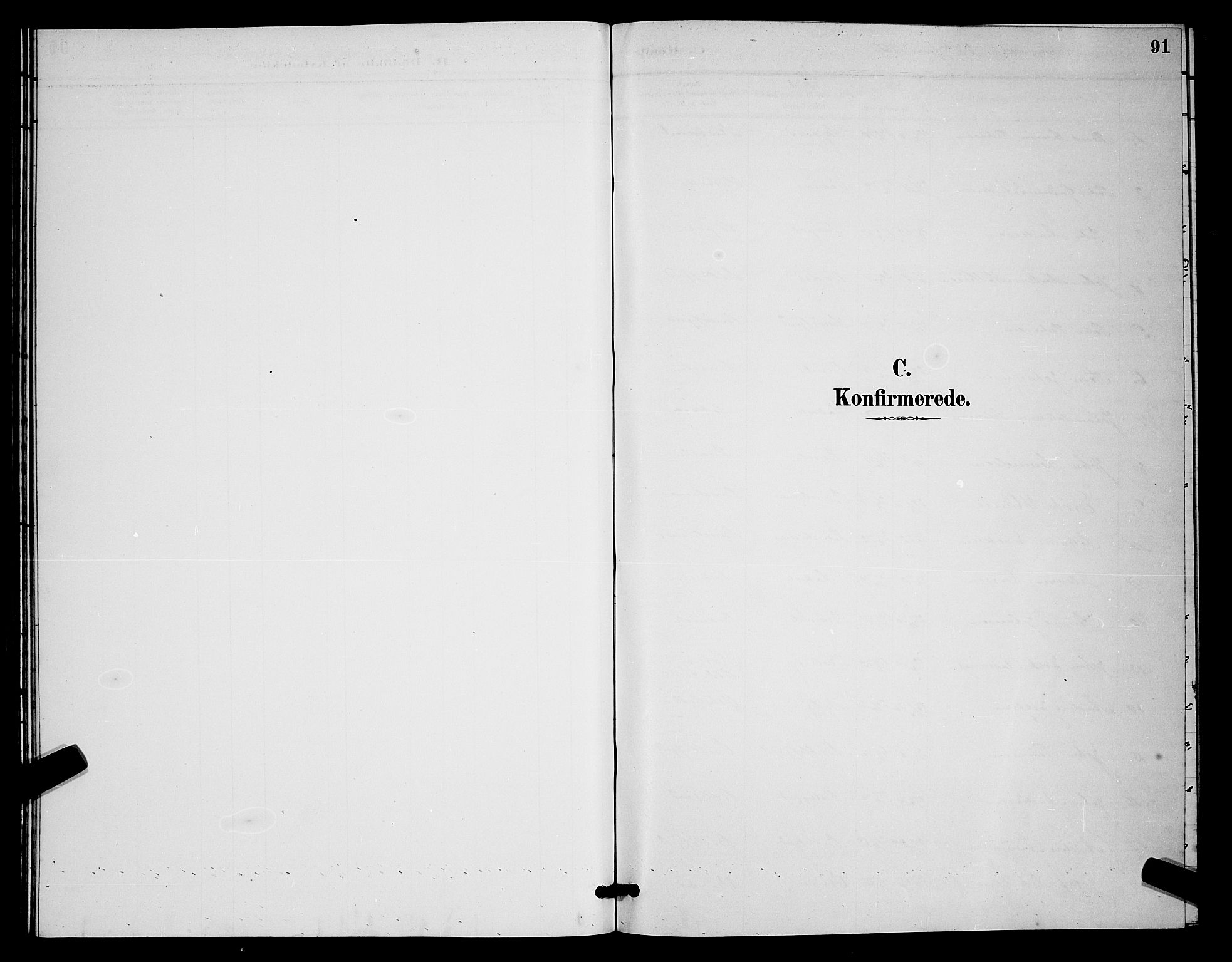 Kistrand/Porsanger sokneprestembete, SATØ/S-1351/H/Hb/L0004.klokk: Parish register (copy) no. 4, 1885-1894, p. 91