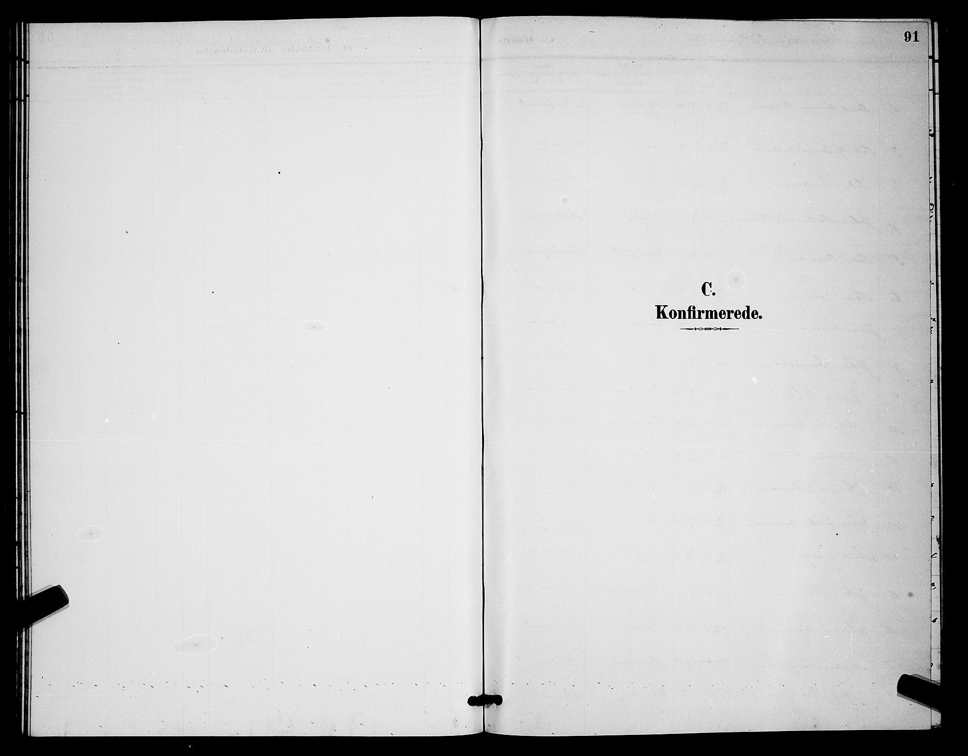 Kistrand/Porsanger sokneprestembete, AV/SATØ-S-1351/H/Hb/L0004.klokk: Parish register (copy) no. 4, 1885-1894, p. 91