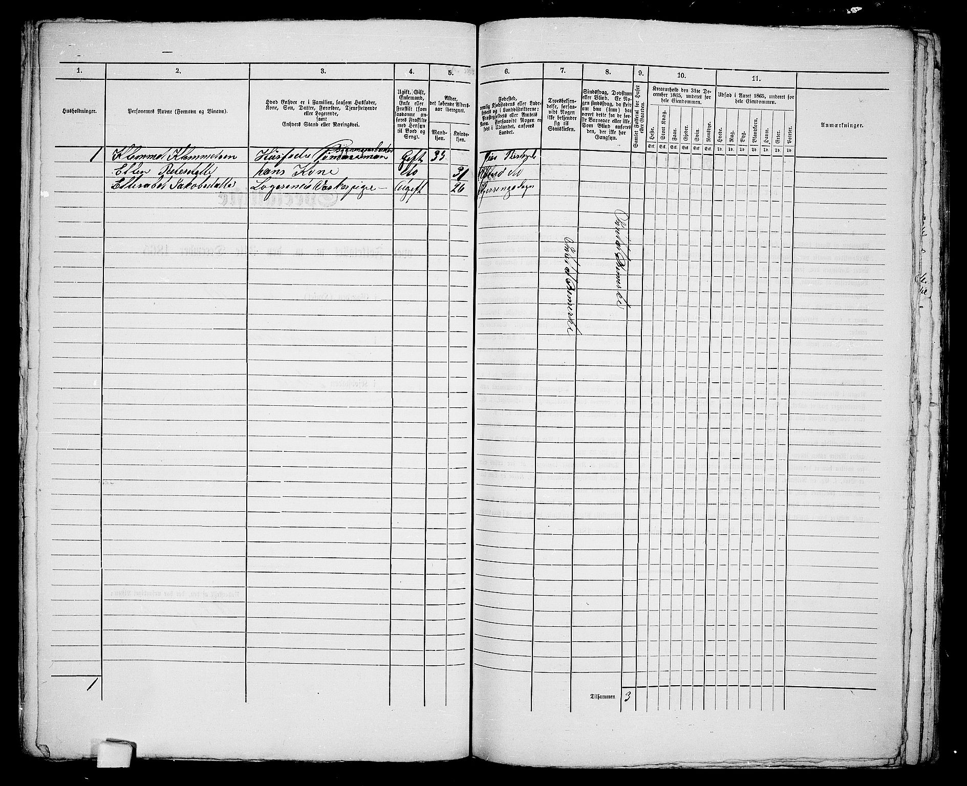 RA, 1865 census for Bodø/Bodø, 1865, p. 80