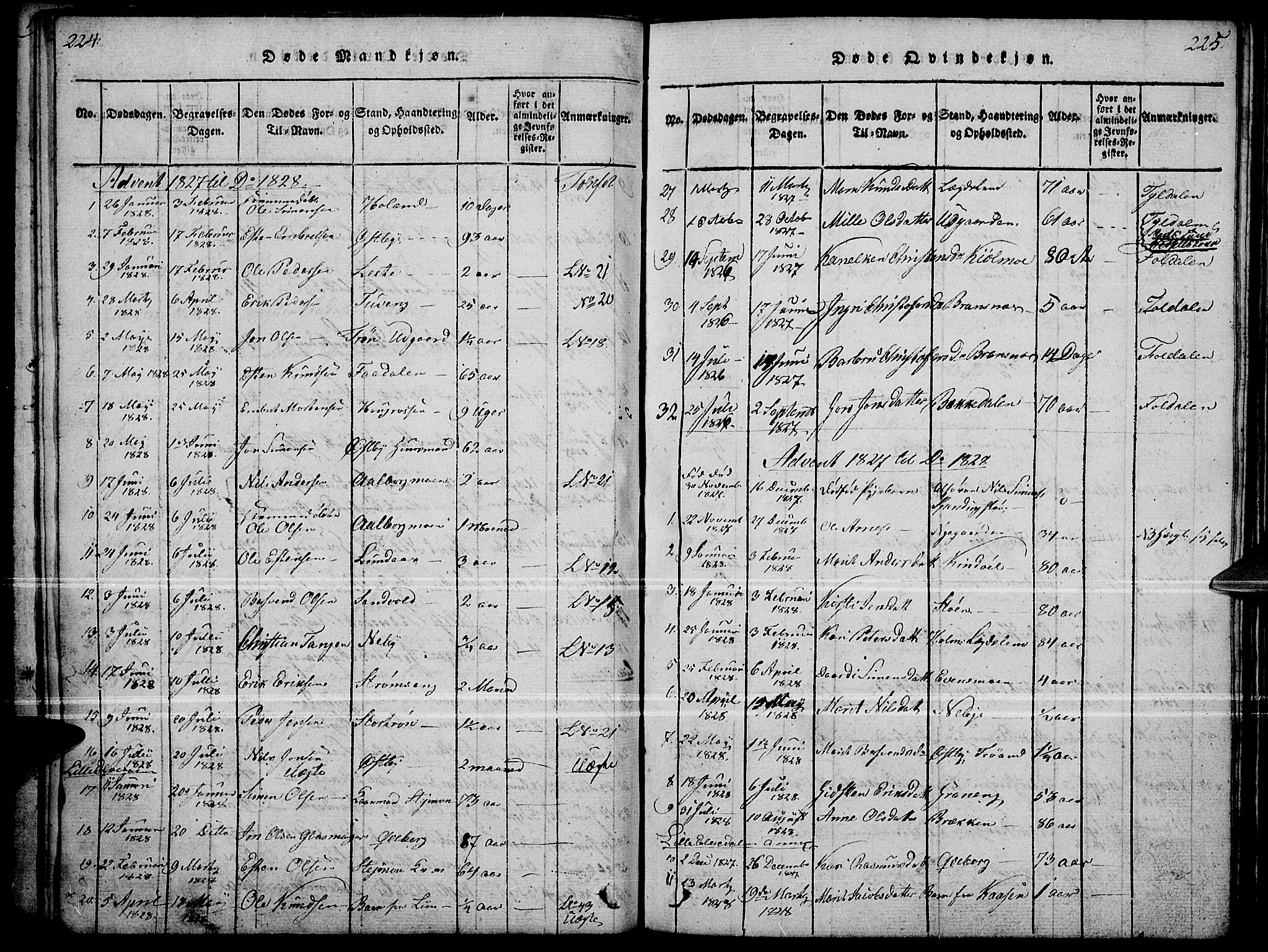 Tynset prestekontor, SAH/PREST-058/H/Ha/Haa/L0018: Parish register (official) no. 18, 1815-1829, p. 224-225