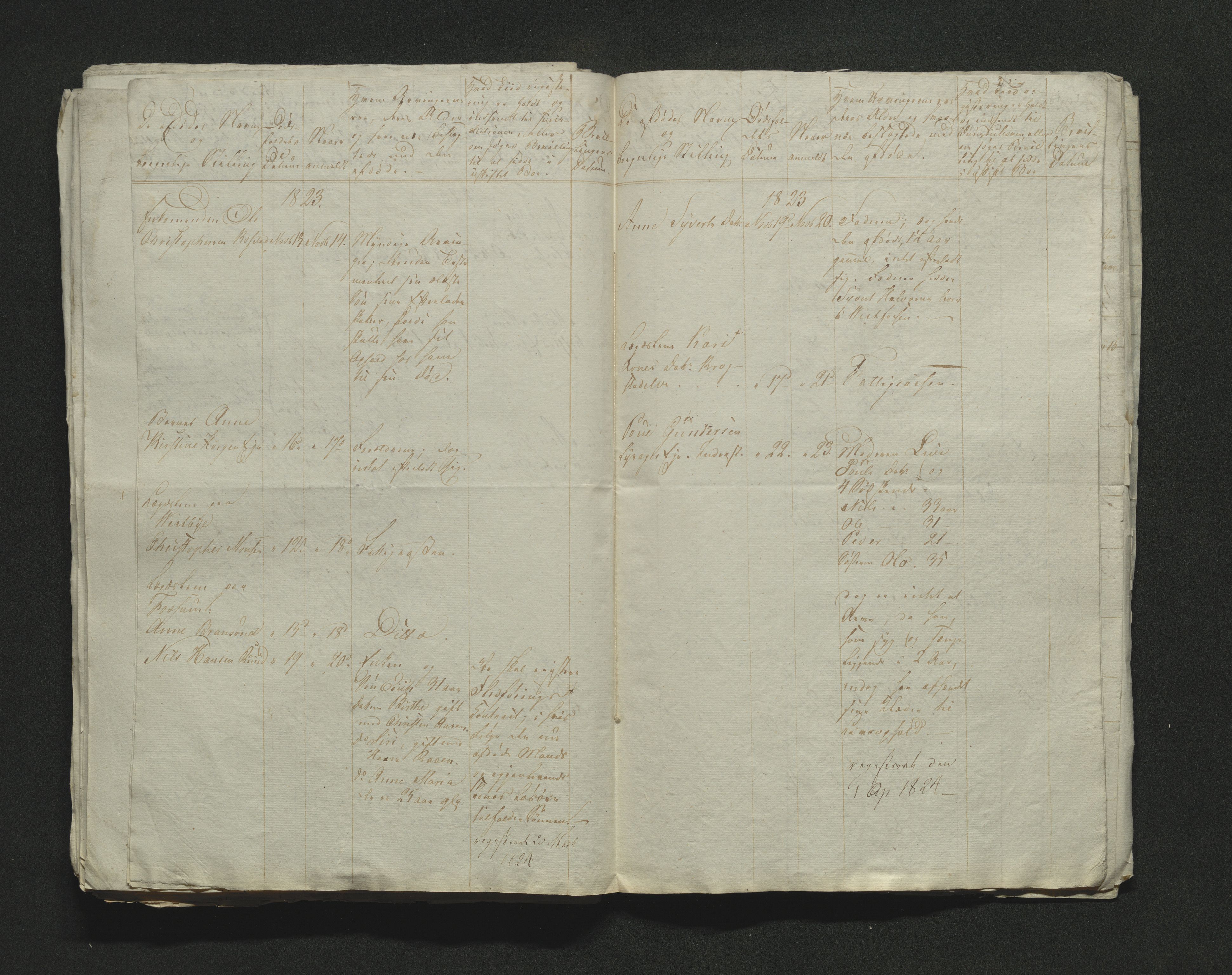 Eiker, Modum og Sigdal sorenskriveri, AV/SAKO-A-123/H/Ha/Hab/L0002: Dødsfallsmeldinger, 1823-1829, p. 81