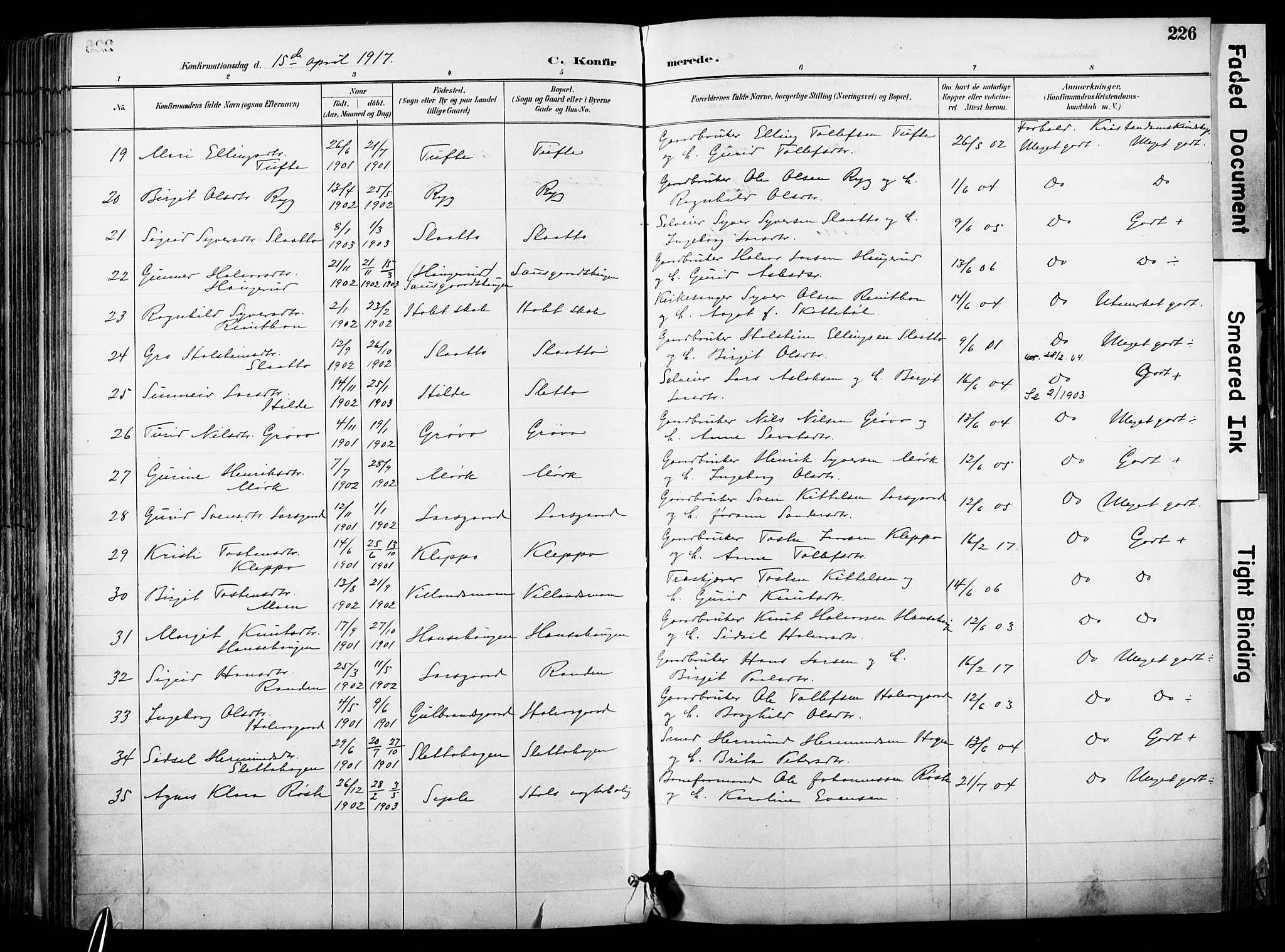 Hol kirkebøker, AV/SAKO-A-227/F/Fa/L0003: Parish register (official) no. I 3, 1887-1918, p. 226