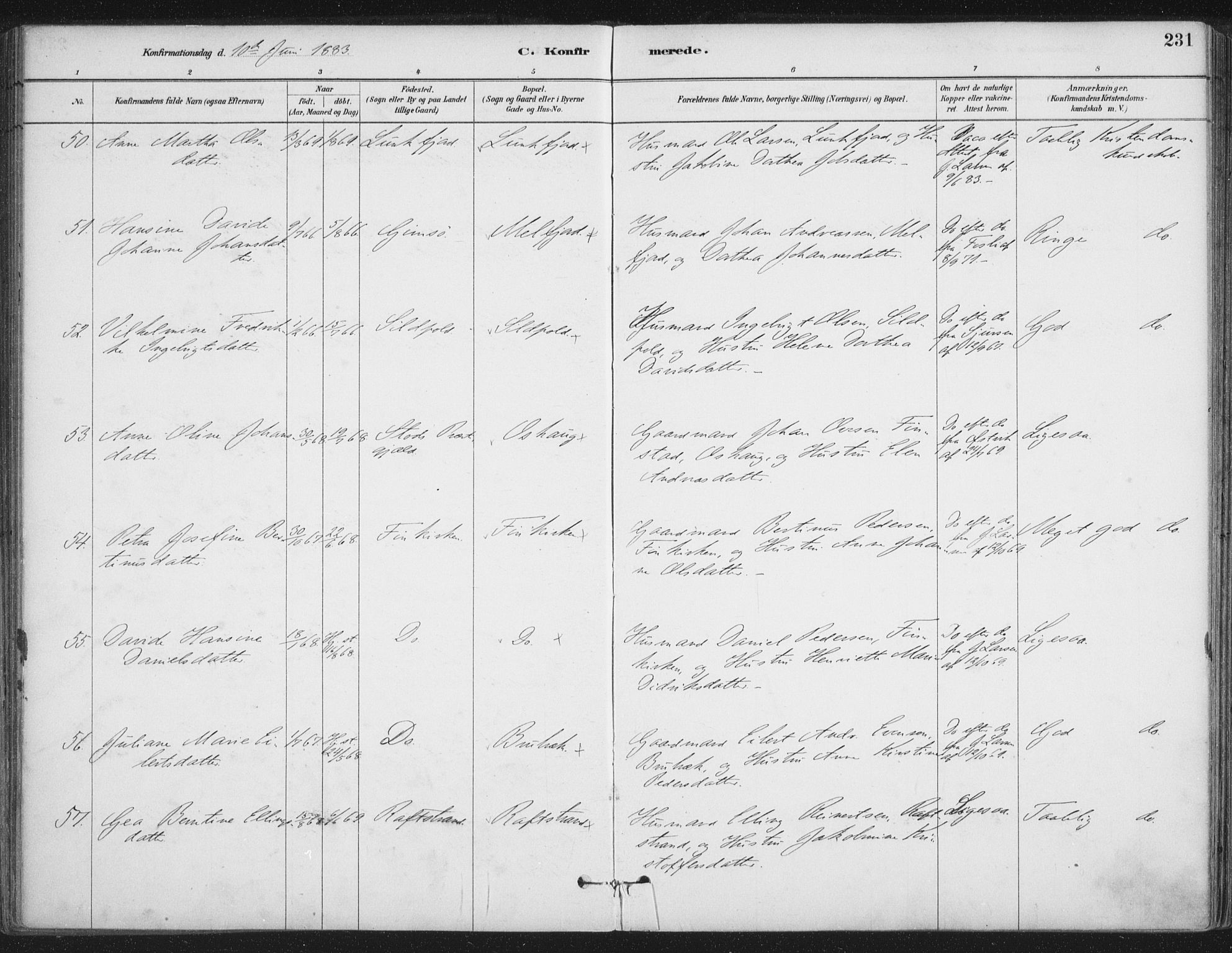 Ministerialprotokoller, klokkerbøker og fødselsregistre - Nordland, AV/SAT-A-1459/888/L1244: Parish register (official) no. 888A10, 1880-1890, p. 231