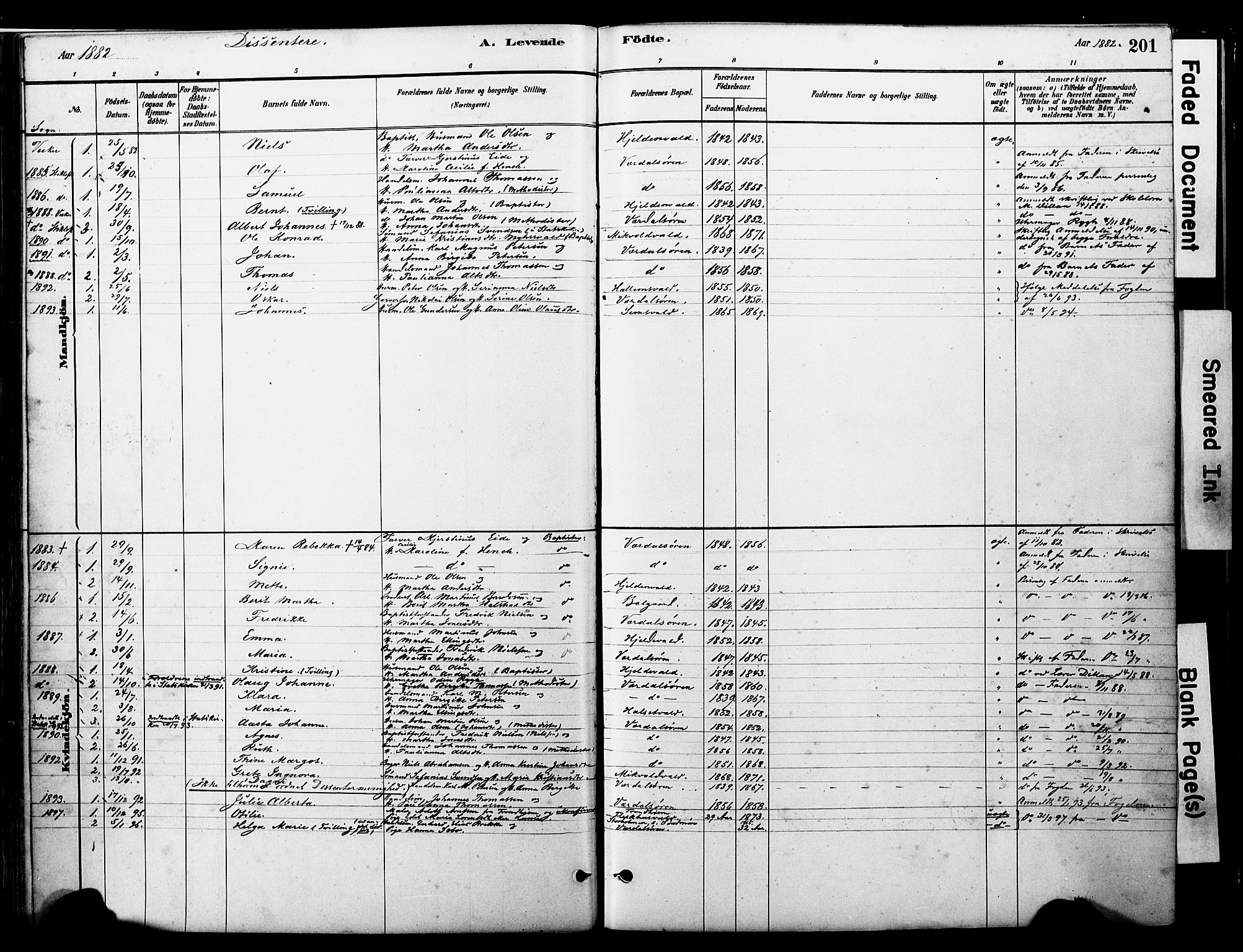 Ministerialprotokoller, klokkerbøker og fødselsregistre - Nord-Trøndelag, SAT/A-1458/723/L0244: Parish register (official) no. 723A13, 1881-1899, p. 201