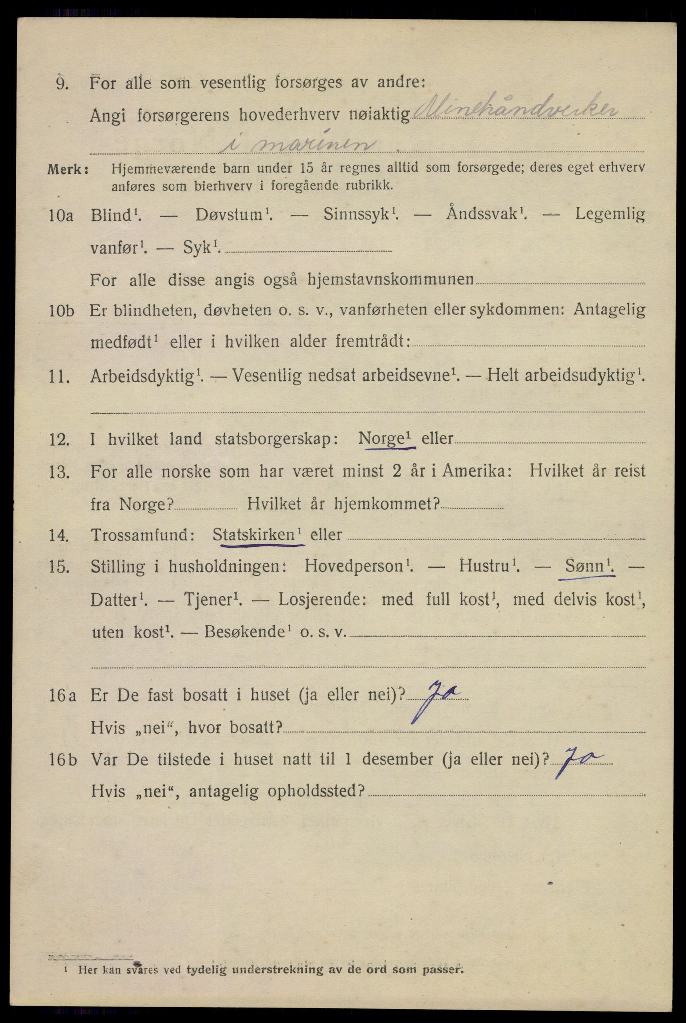 SAKO, 1920 census for Horten, 1920, p. 9134