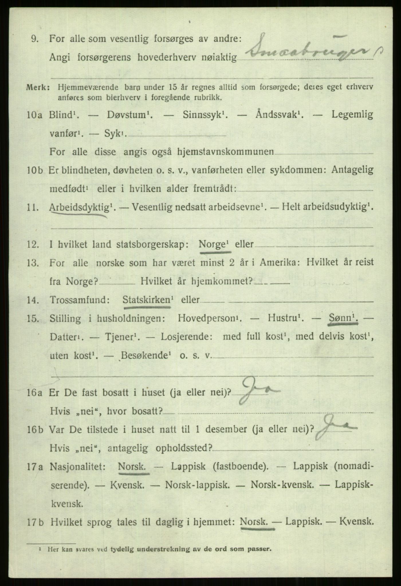 SATØ, 1920 census for Trondenes, 1920, p. 6920