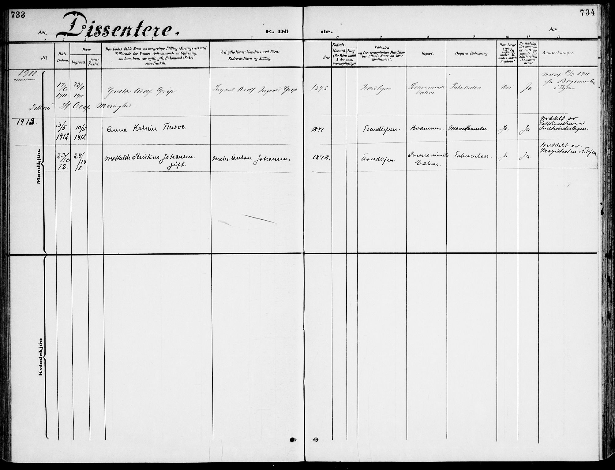 Ministerialprotokoller, klokkerbøker og fødselsregistre - Sør-Trøndelag, SAT/A-1456/607/L0320: Parish register (official) no. 607A04, 1907-1915, p. 733-734