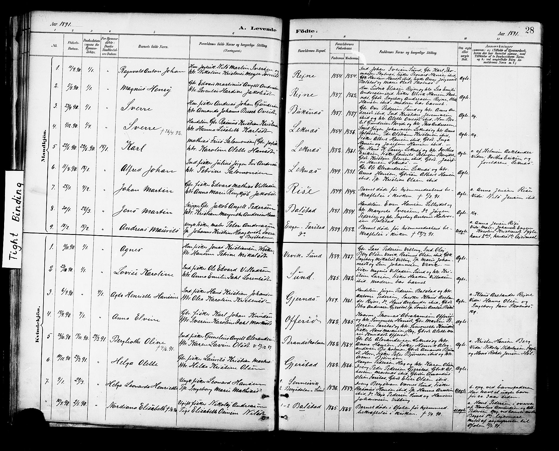 Ministerialprotokoller, klokkerbøker og fødselsregistre - Nordland, SAT/A-1459/881/L1167: Parish register (copy) no. 881C04, 1886-1899, p. 28