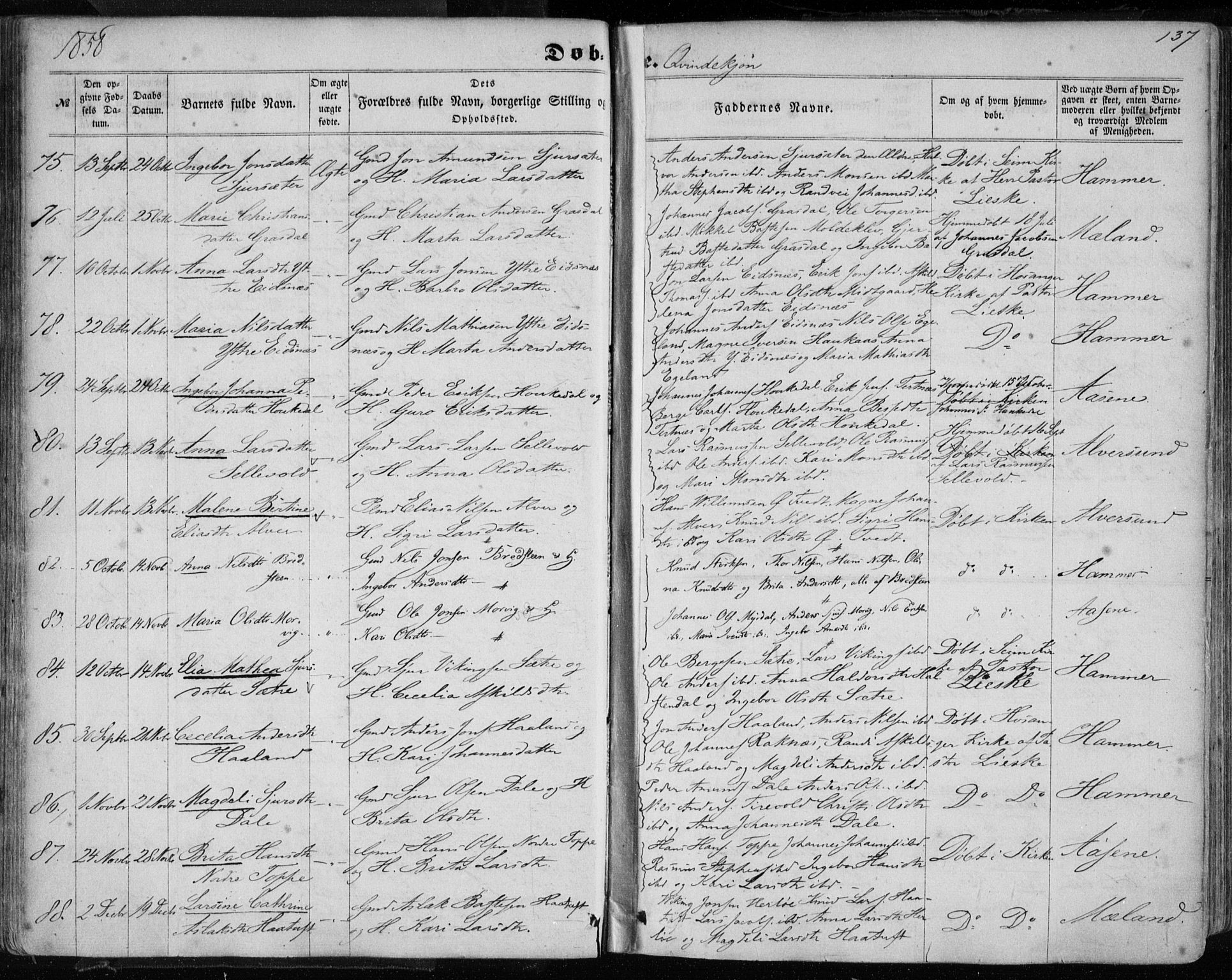 Hamre sokneprestembete, AV/SAB-A-75501/H/Ha/Haa/Haaa/L0014: Parish register (official) no. A 14, 1858-1872, p. 137