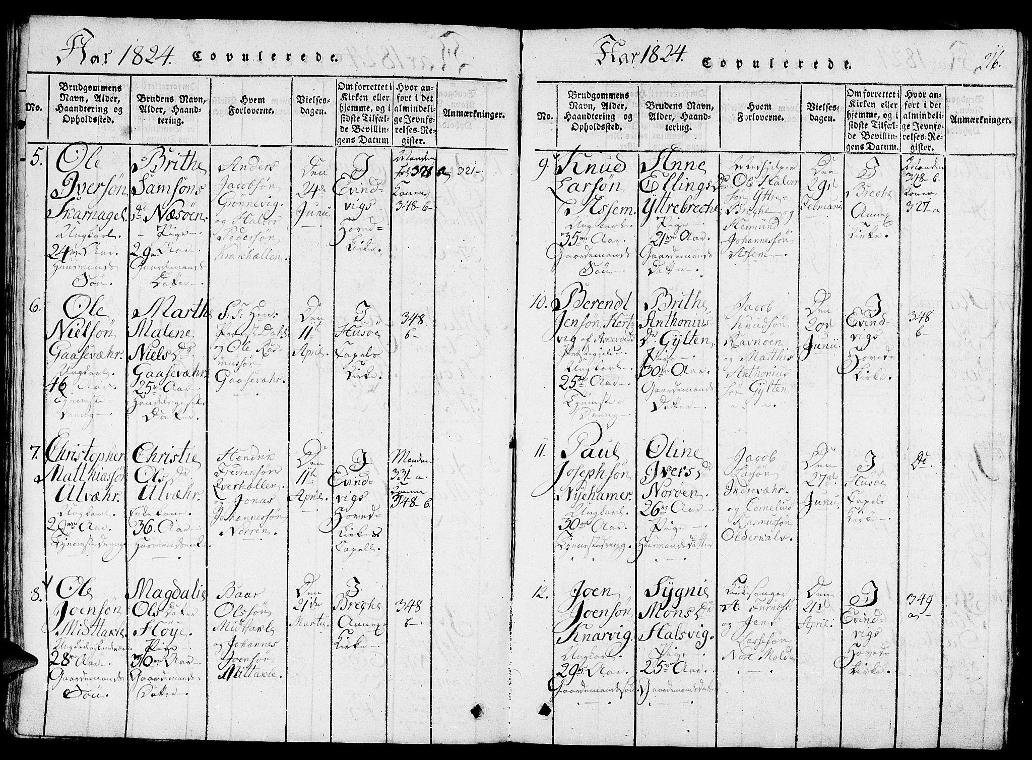 Gulen sokneprestembete, AV/SAB-A-80201/H/Haa/Haaa/L0018: Parish register (official) no. A 18, 1816-1825, p. 216